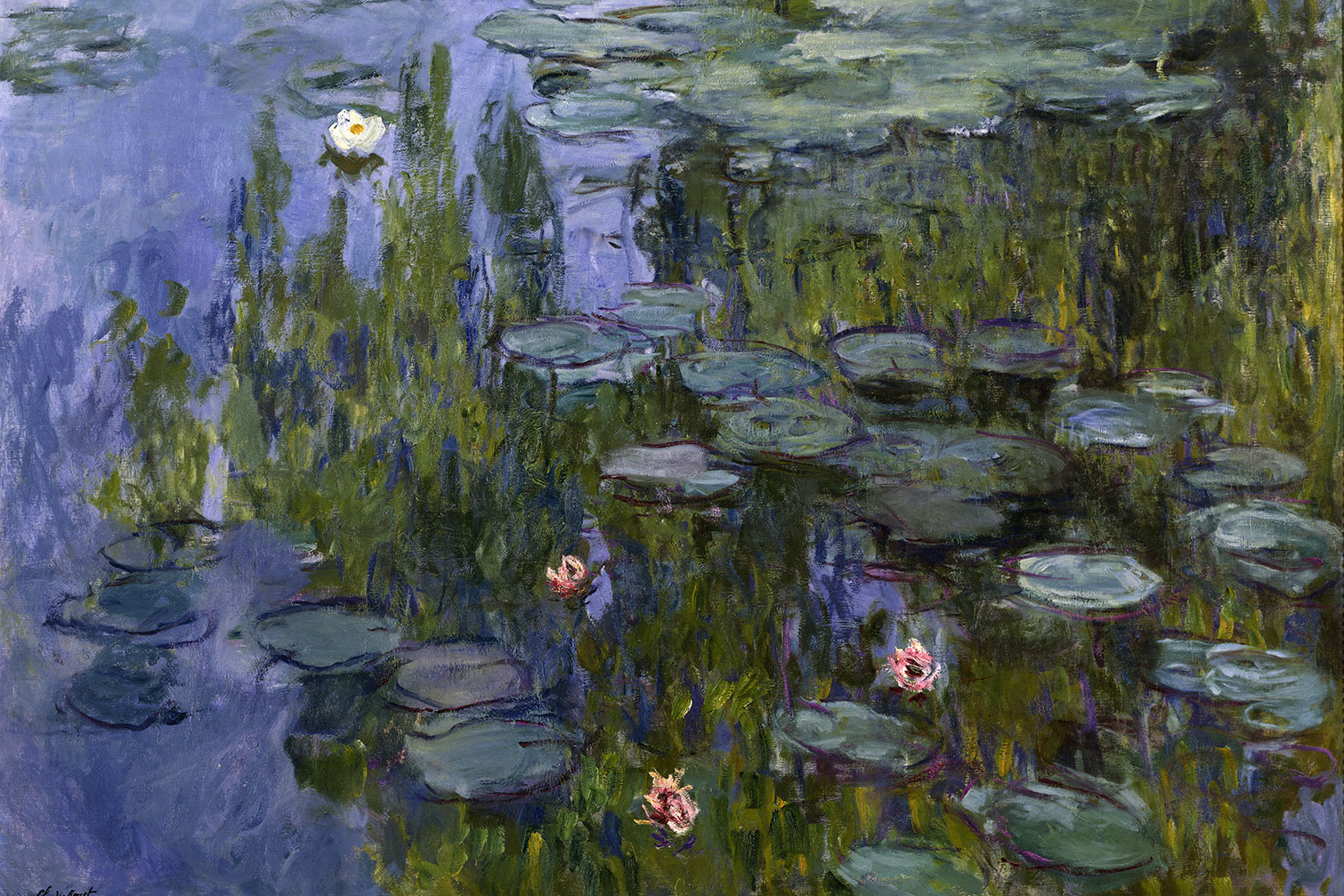 Tableau célèbre Les Nymphéas de Claude Monet, HEXOA