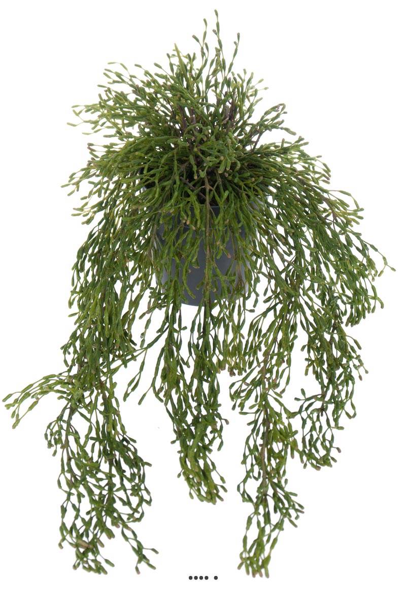 Rhipsalis artificiel, cactus gui feuillage, ARTIFICIELLES