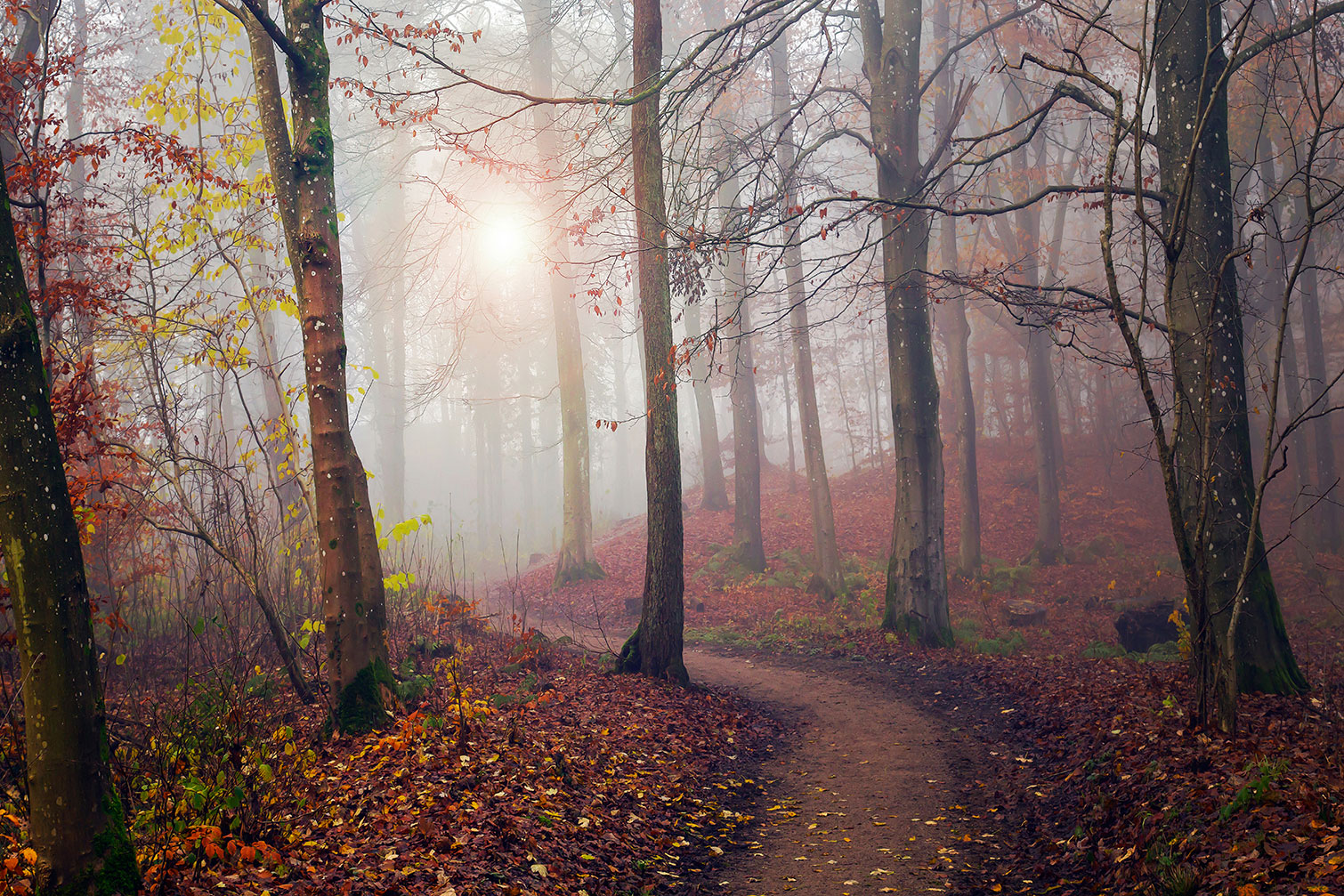 Tableau Automne jaune, HEXOA