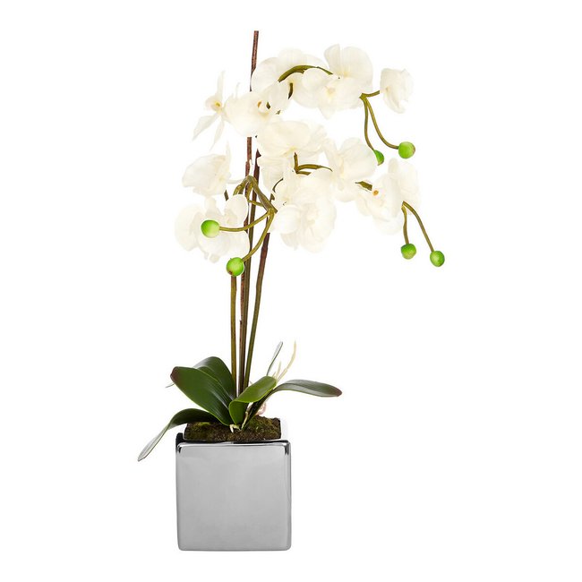 66cm White Orchid in Silver Ceramic Pot, white, SO'HOME