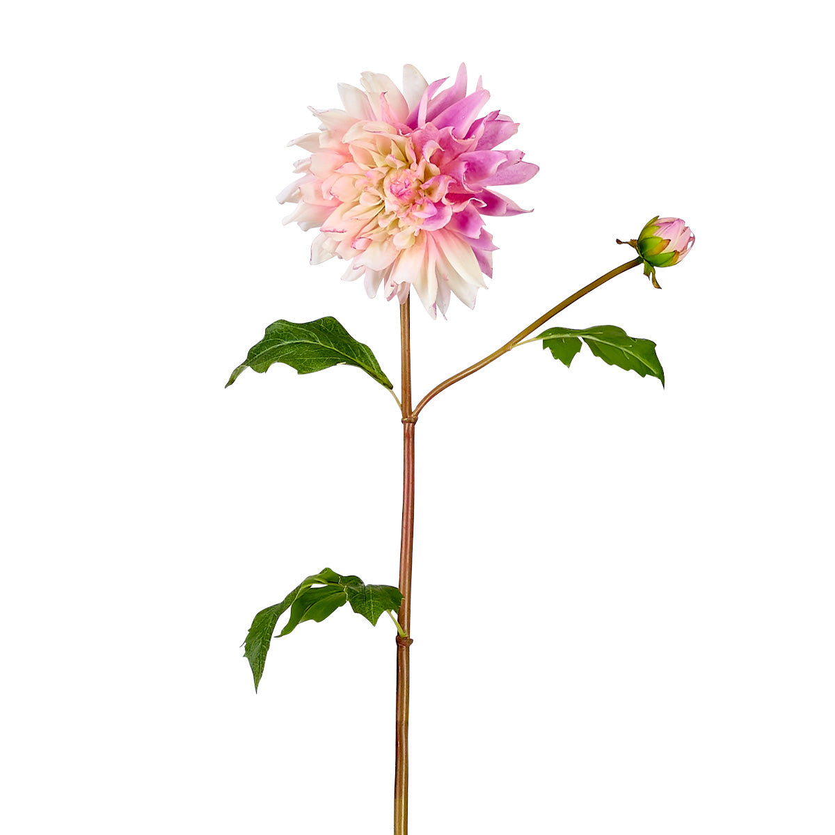 Tige de dahlia artificielle H20, SIA DECO