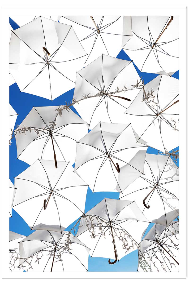 Affiche poster ombrella, HEXOA