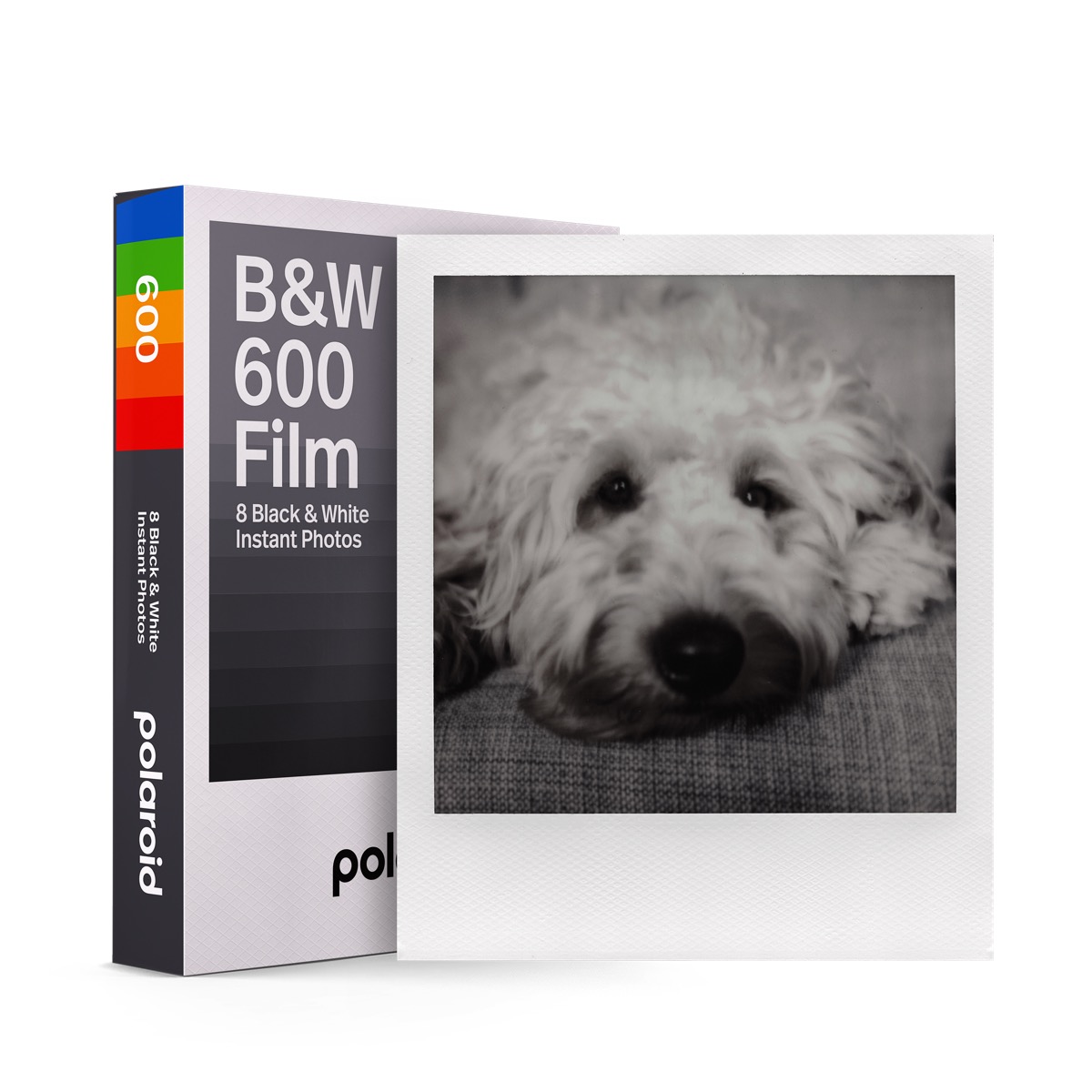 Film 600 NOIR & BLANC, POLAROID