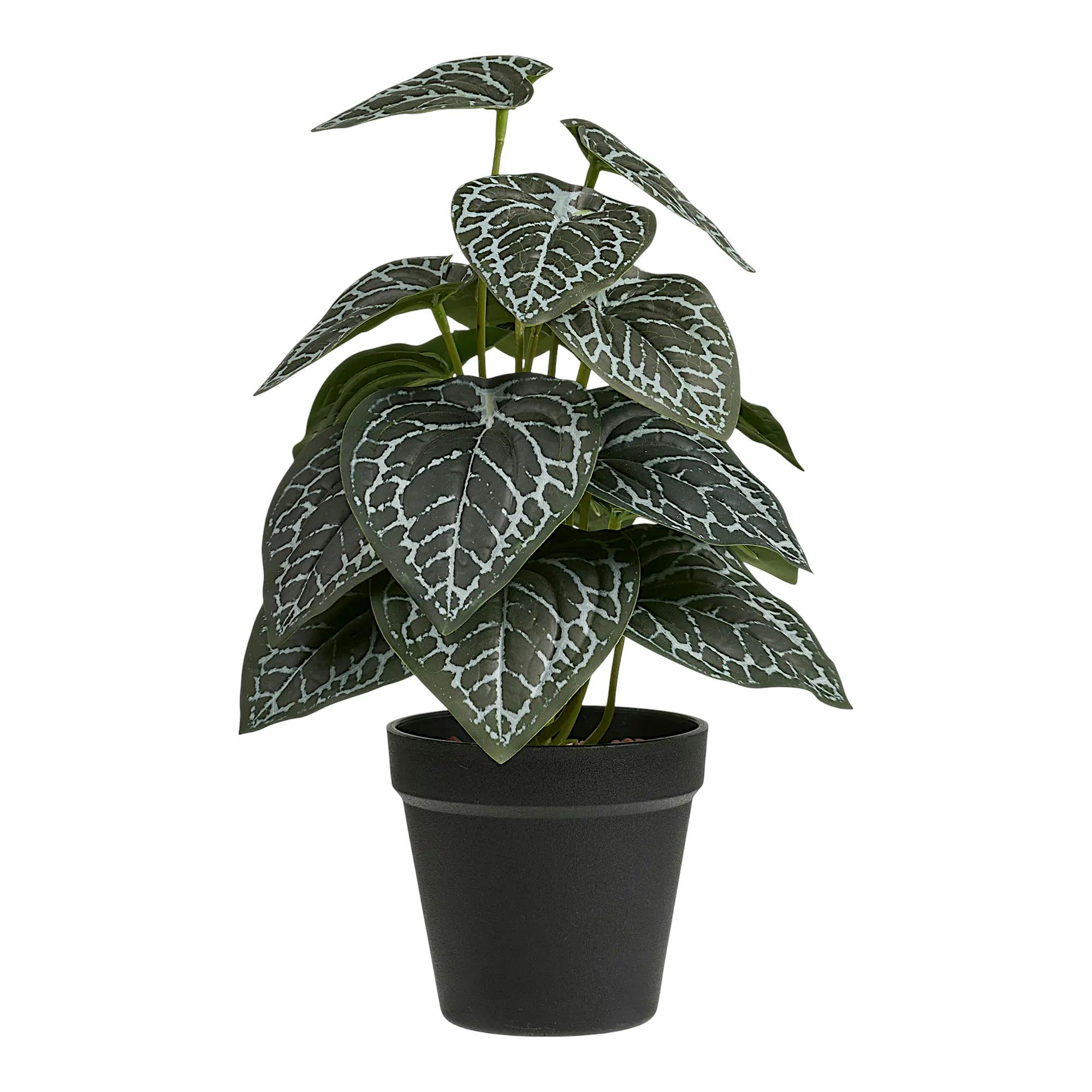 Plante artificielle anthurium en pot, PIER IMPORT