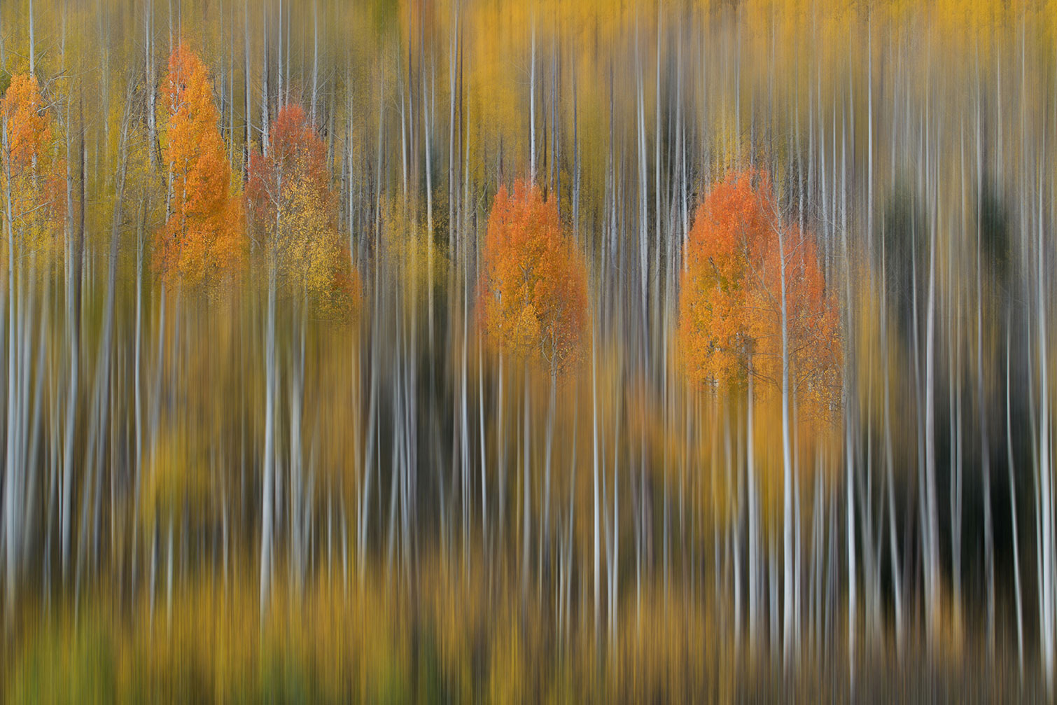 Tableau Impression d'automne, HEXOA