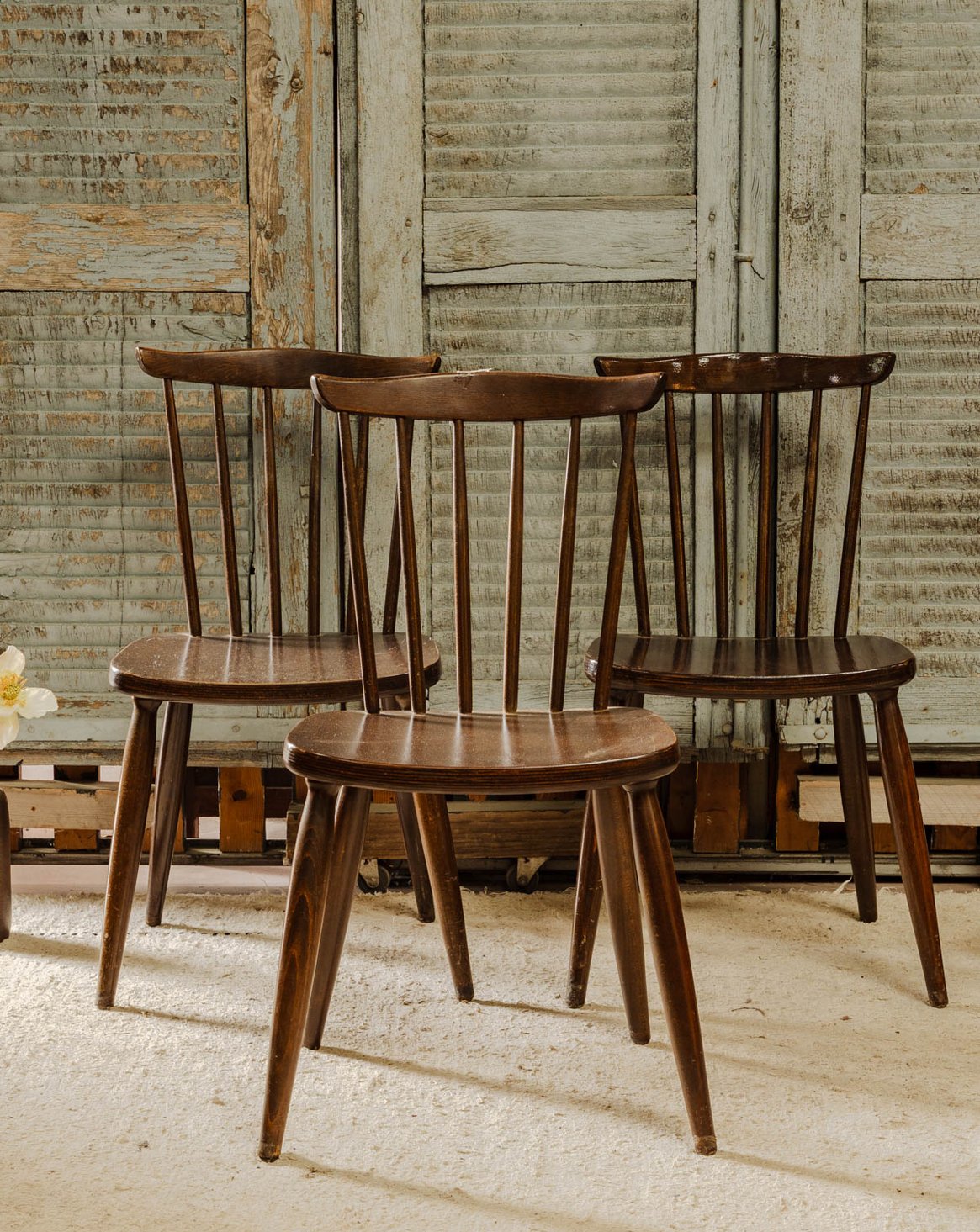 Lot de 3 chaises en bois Claude N°1566 - Bon état, DEBONGOUT