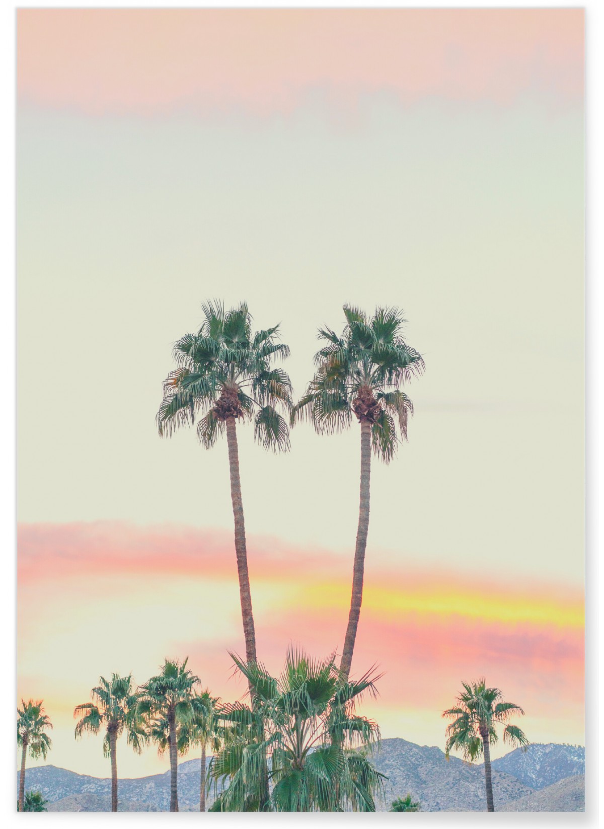 Poster Nature Tropicale 2, L'AFFICHERIE
