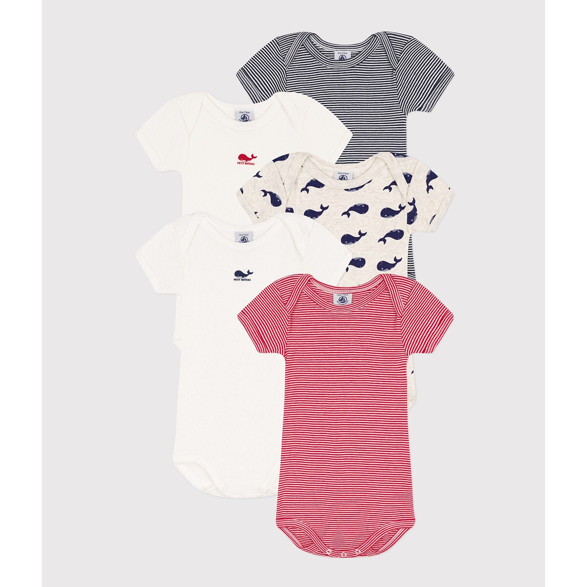 Petit Bateau Lot de 3 Bodies Manches Courtes Baleines en Coton 12 Mois :  : Mode