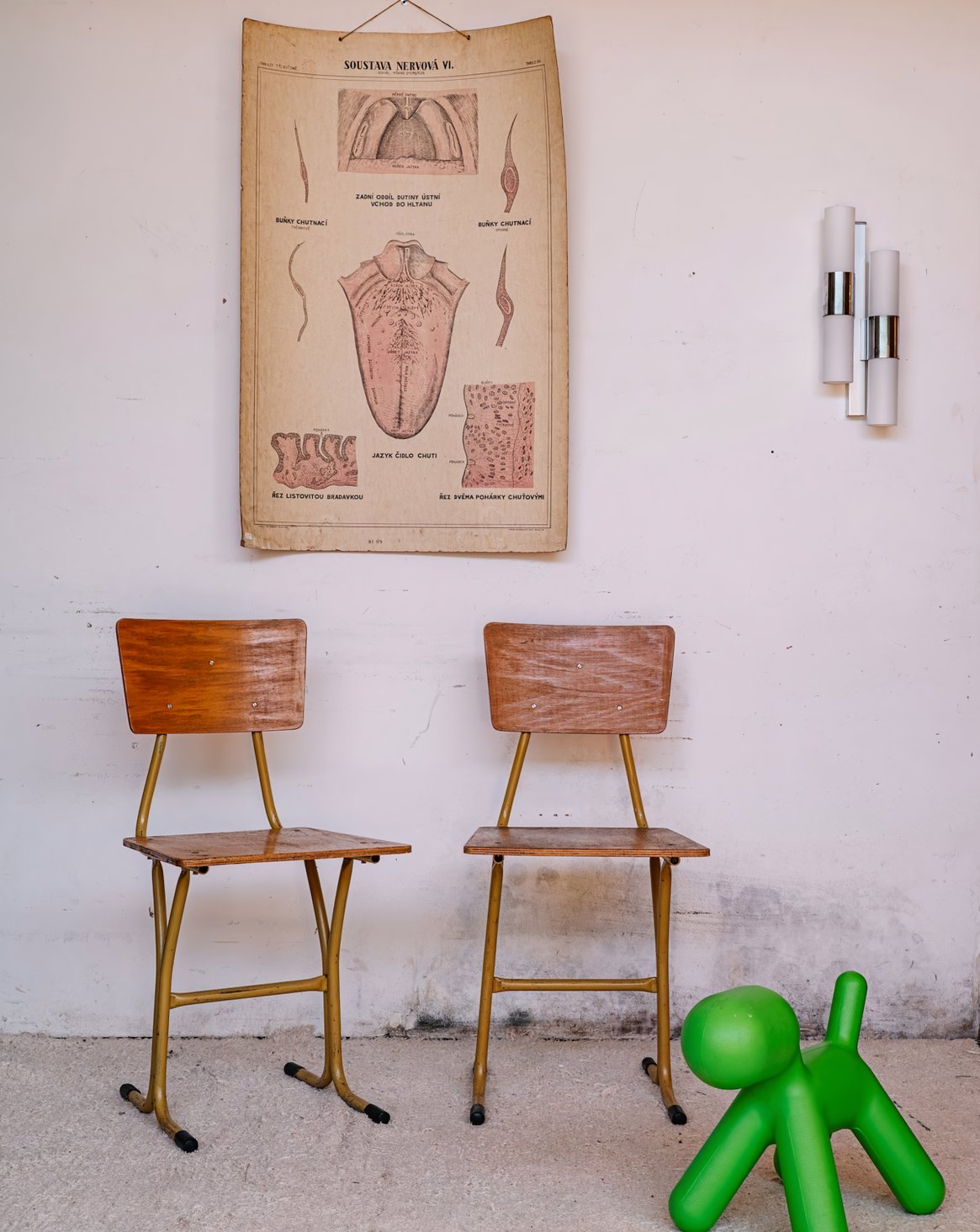 Chaise en bois clair Claude N°861 - Bon état, DEBONGOUT