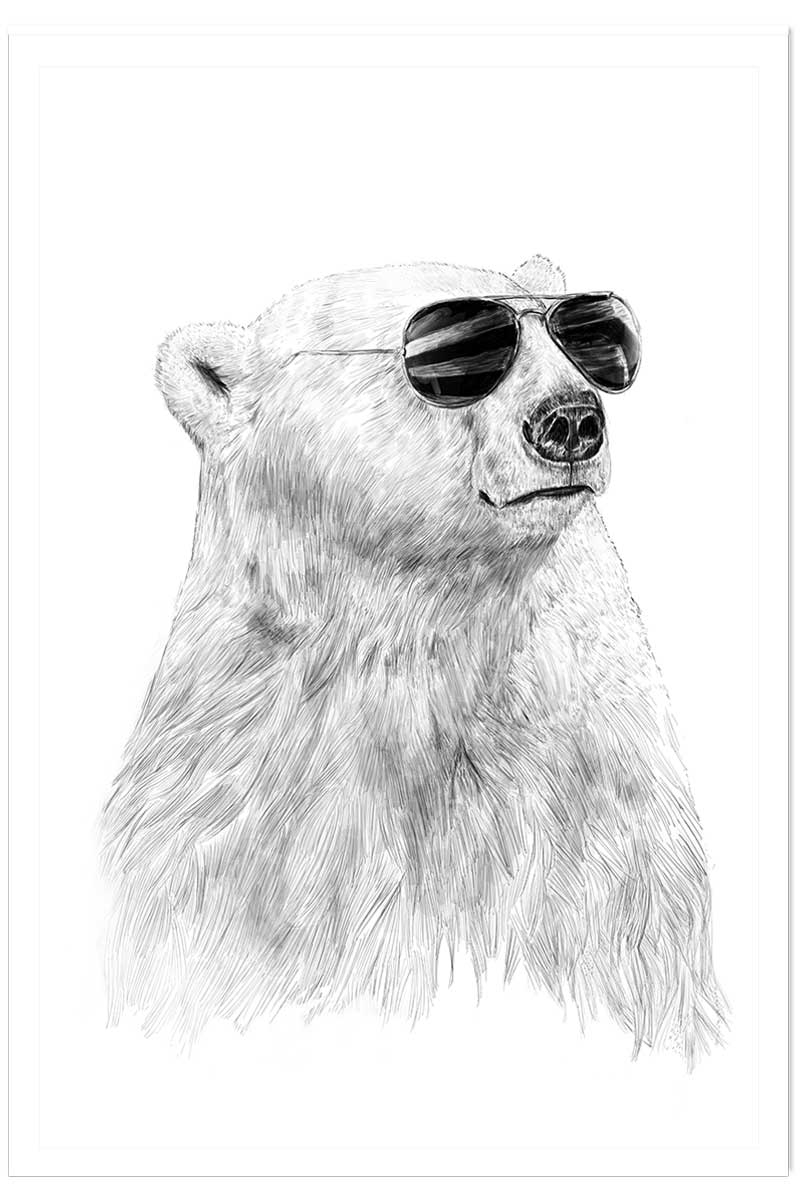 Affiche enfant ours polaire et lunette, HEXOA