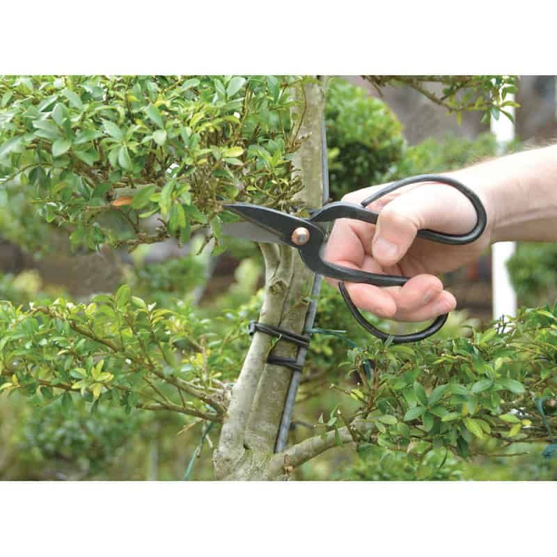 Ciseaux pour plante d'intérieur et bonsaï – La Green Touch