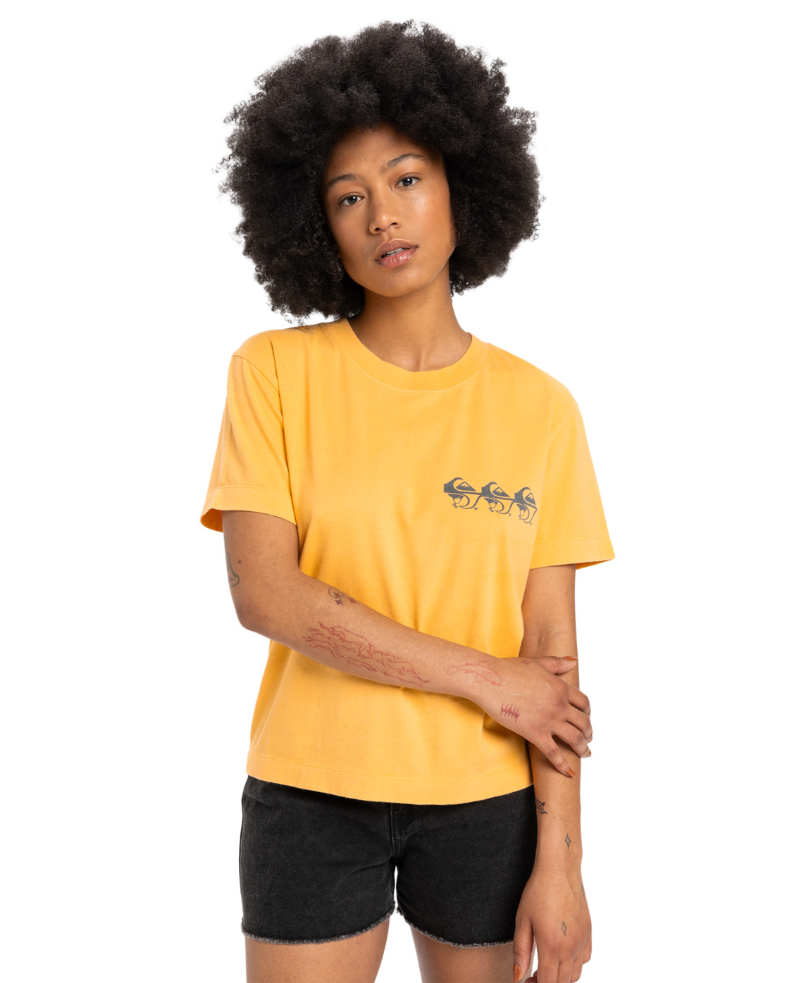 T-shirt à manches courtes STANDARD, QUIKSILVER