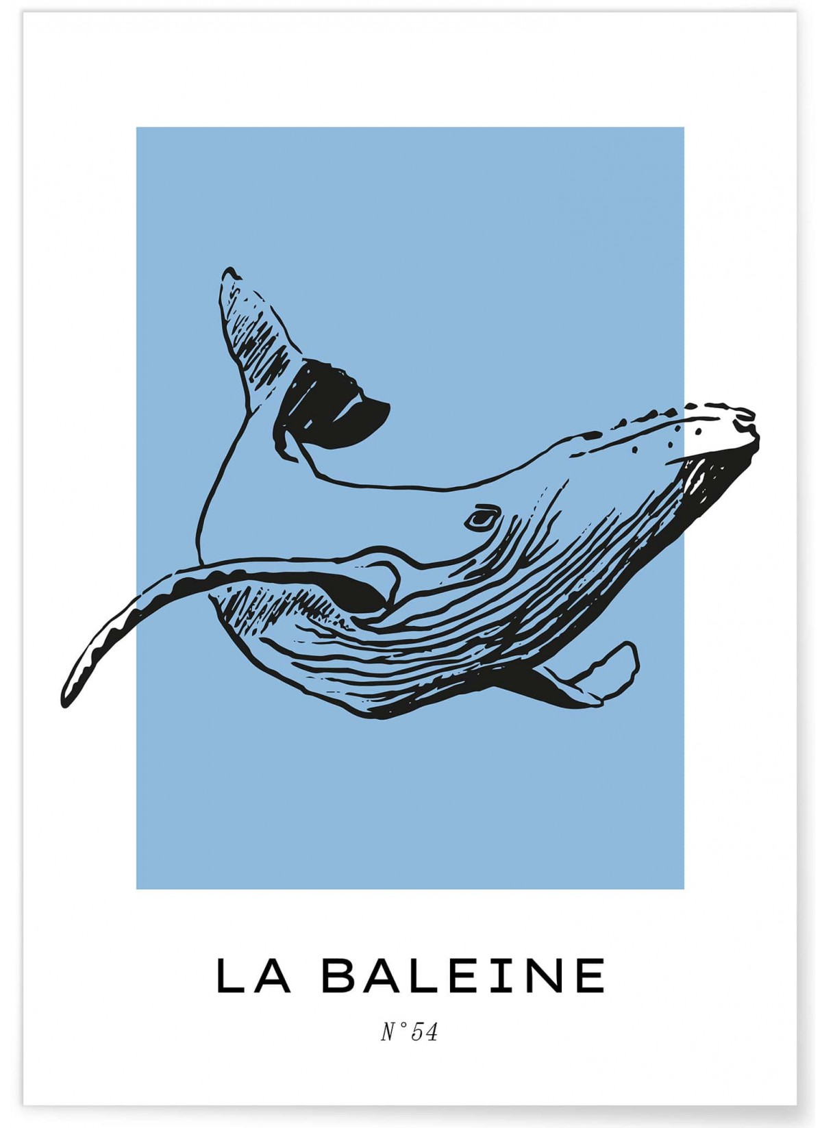 Affiche La baleine, L'AFFICHERIE