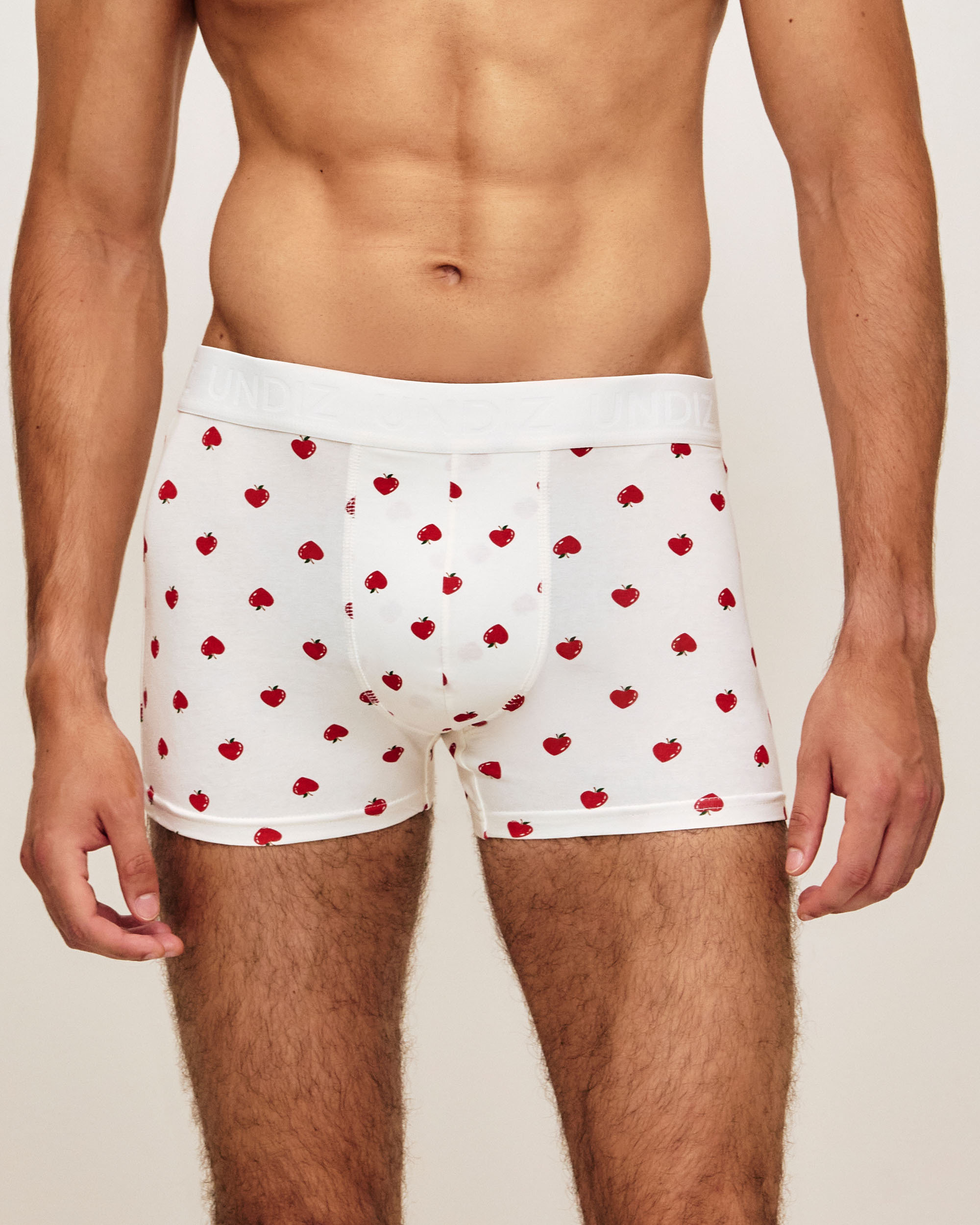 Boxer en coton imprimé pommes REPEATIZ APPLE, UNDIZ
