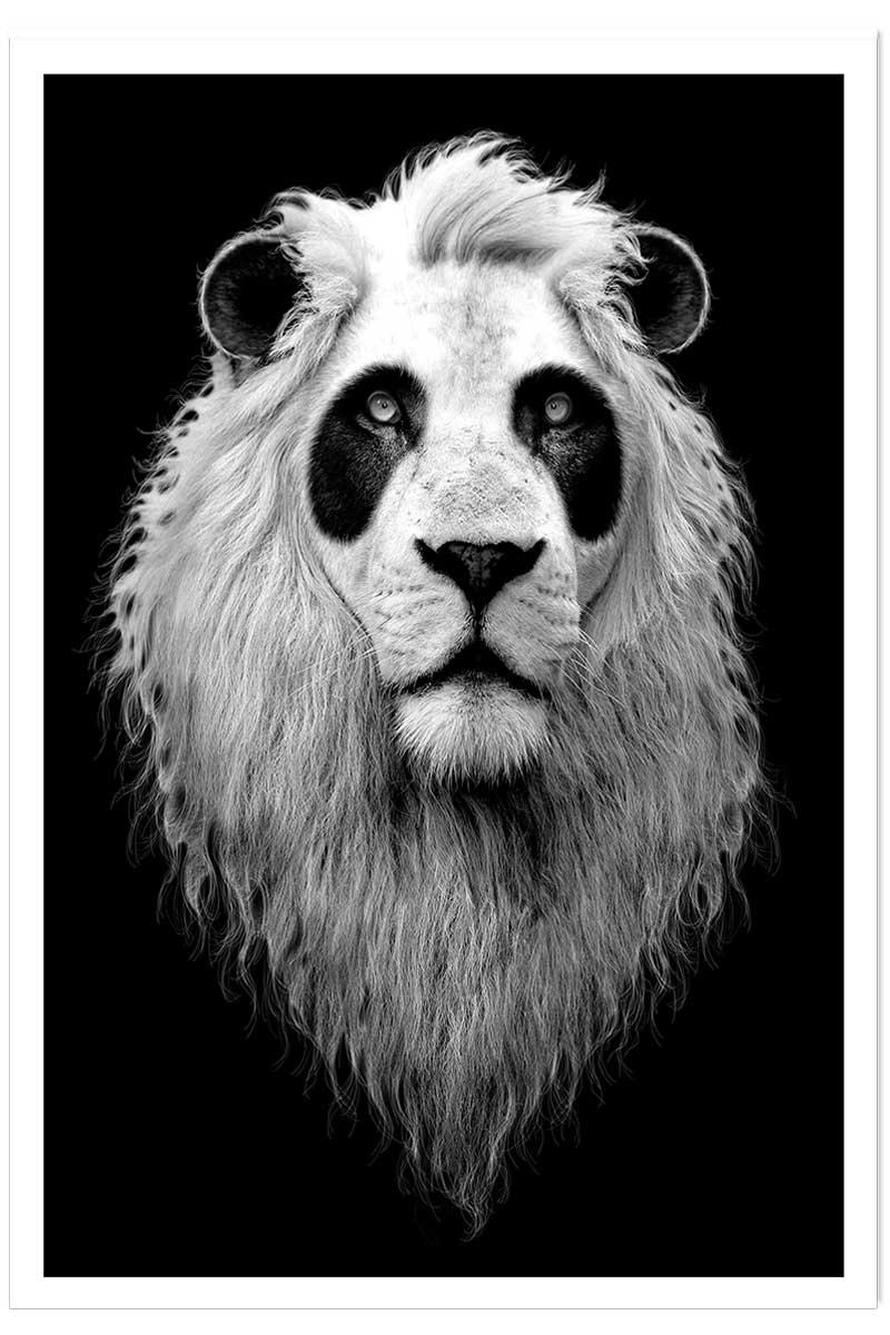 Affiche enfant le pandalion, HEXOA