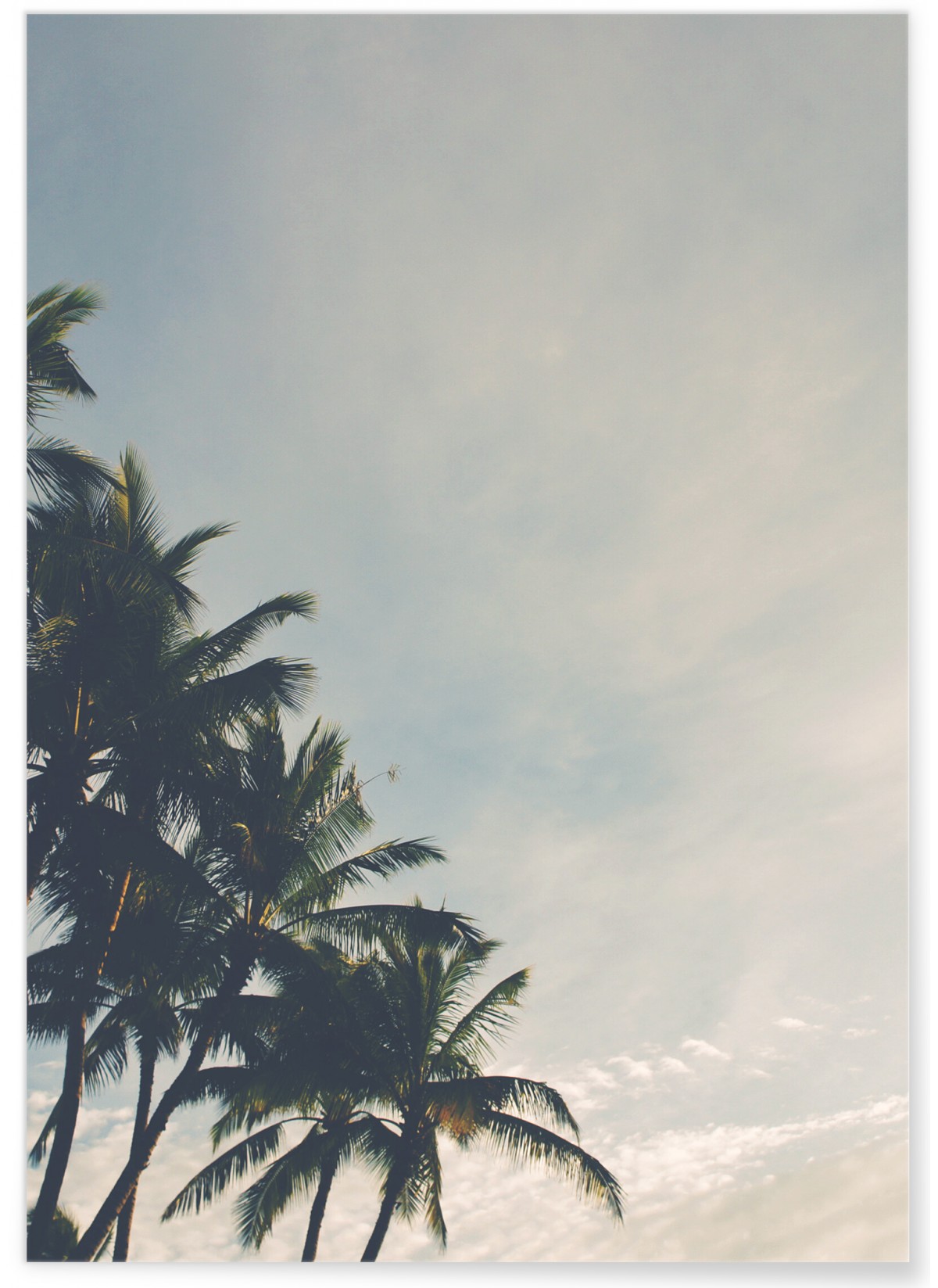 Poster Palmiers Tropicaux, L'AFFICHERIE
