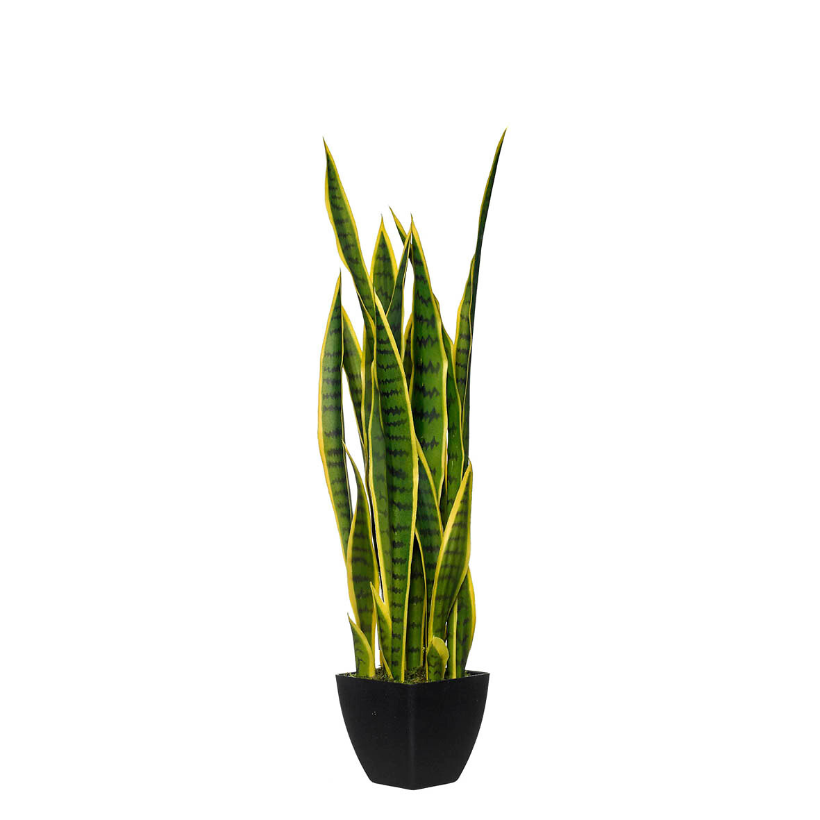 Planta artificial "Snake" 89cm, BORGHESI, BORGHESI