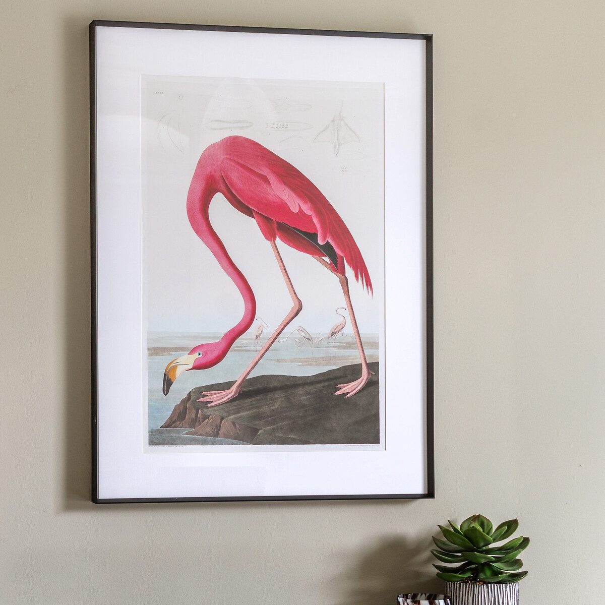 60x90cm Wading Flamingo Framed Art, ÉDITÉ