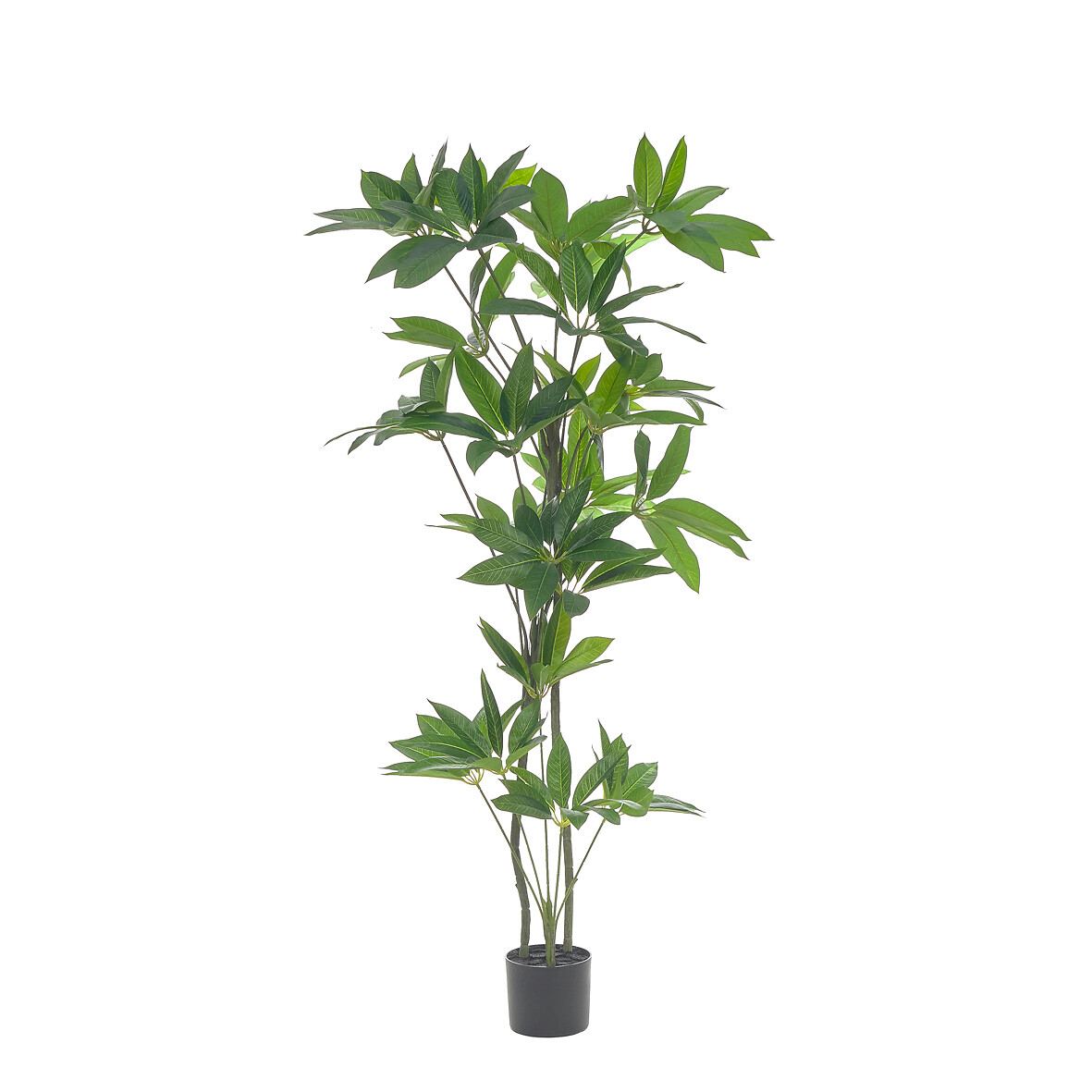 Planta artificial "Scheffera" 155cm, BORGHESI, BORGHESI