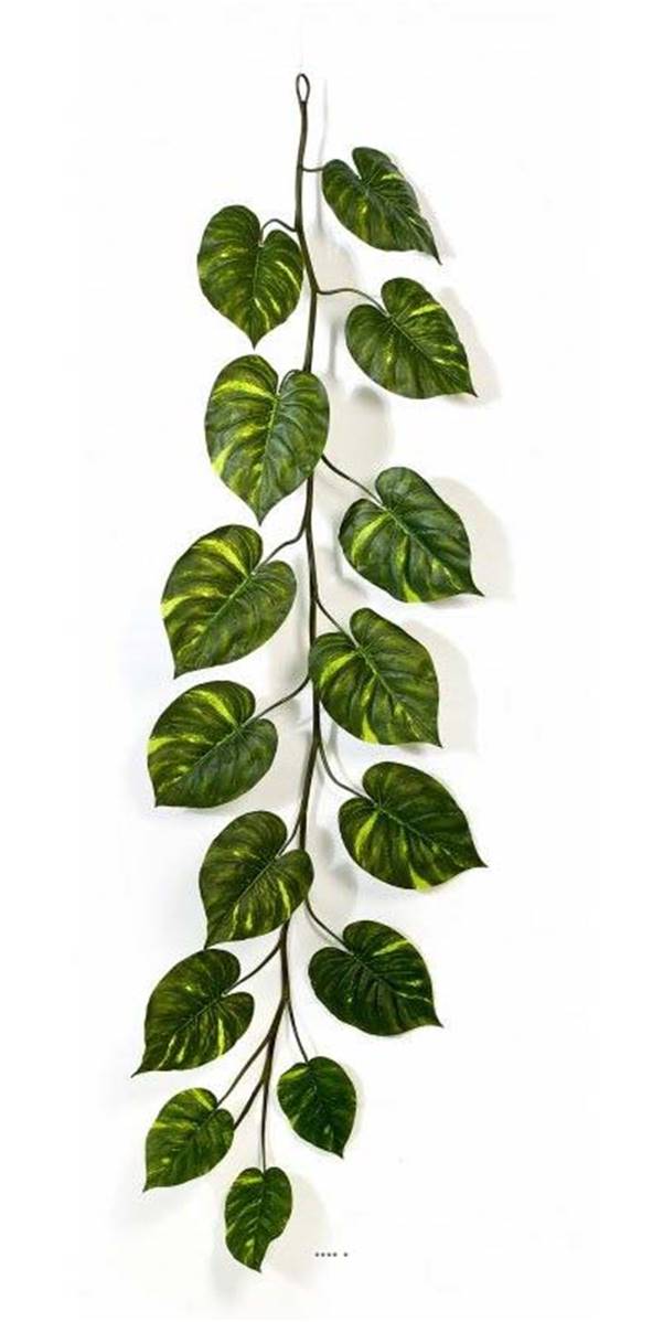 Guirlande de feuilles de pothos H 230 cm, ARTIFICIELLES