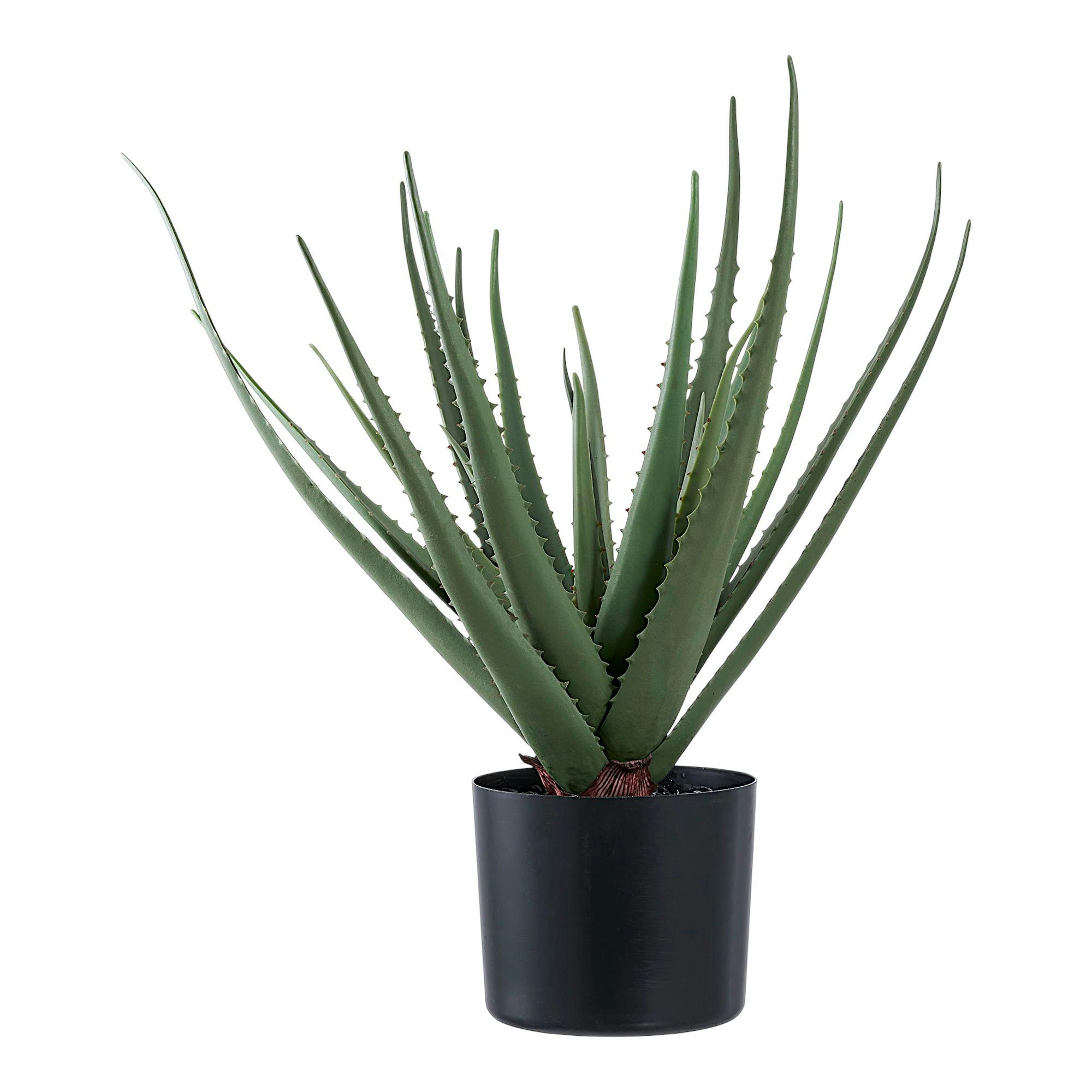 Aloe vera artificiel en pot, PIER IMPORT