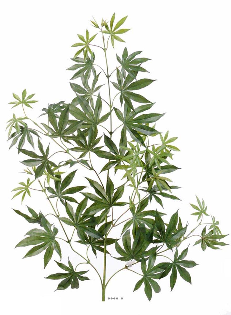 Branche d Aralia artificielle H 70 cm, ARTIFICIELLES