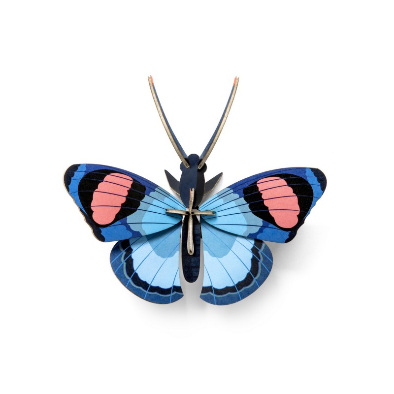 Papillon paon du jour décoration murale en carton, STUDIO ROOF