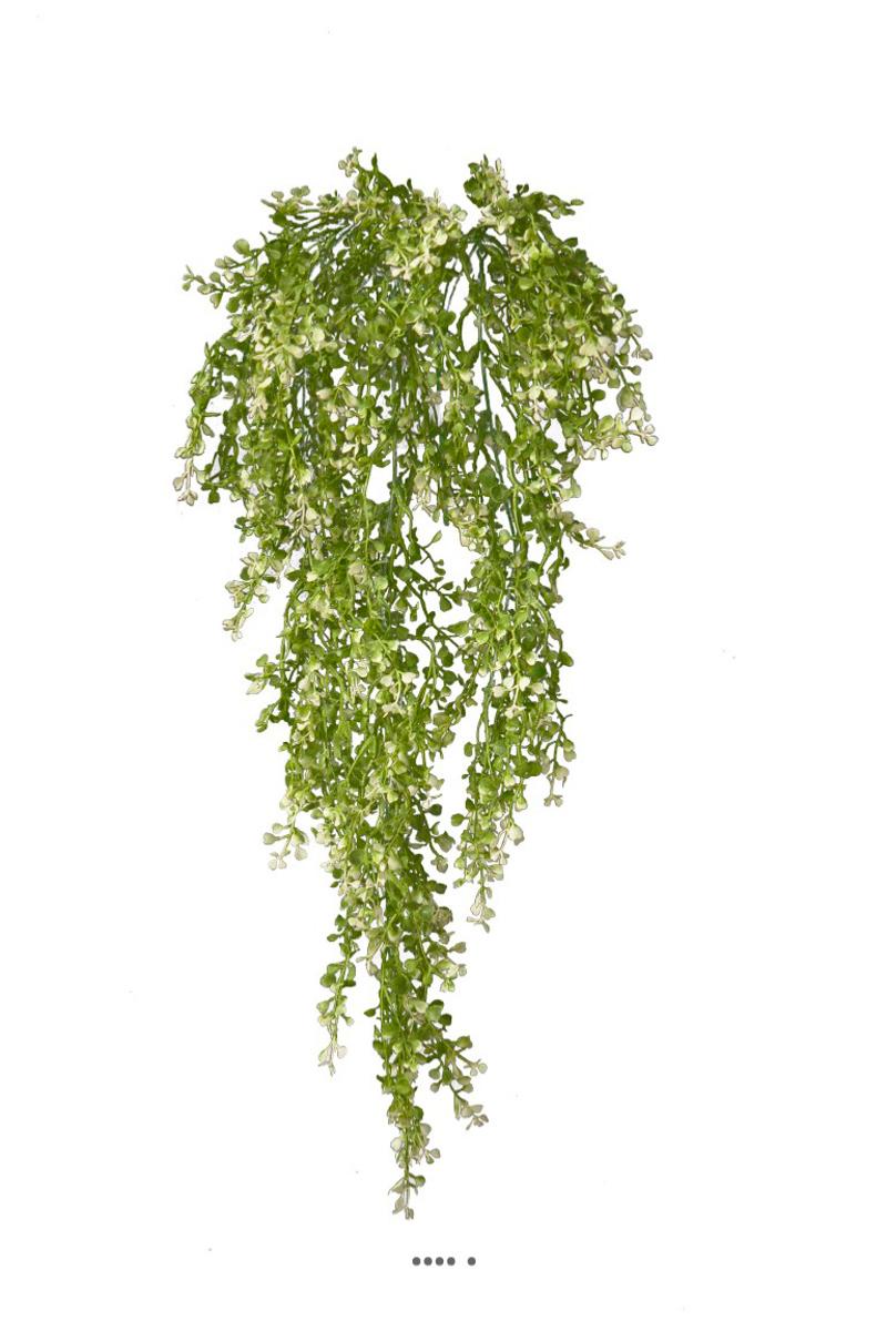 Chute de crassula artificiel H 85 cm, ARTIFICIELLES