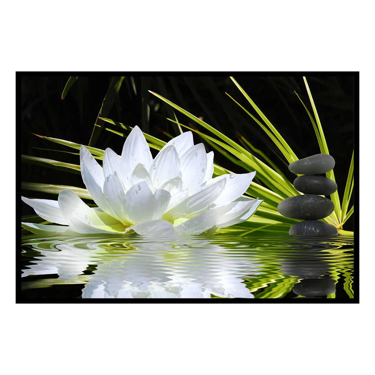 Affiche encadrée fleur zen lotus, HEXOA