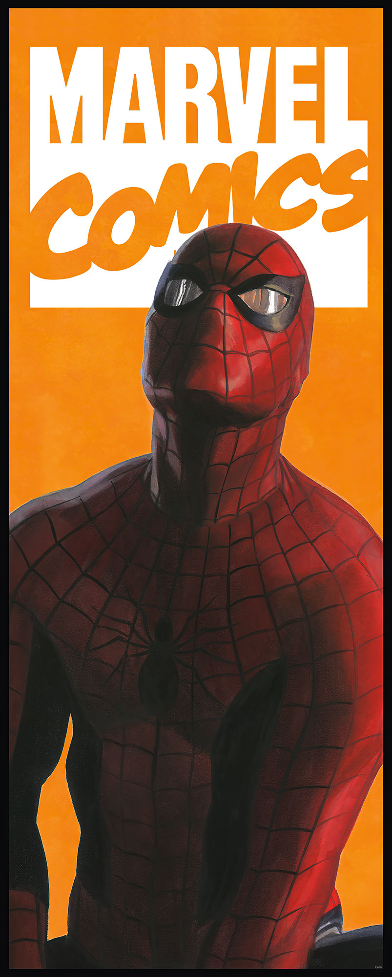 Papier peint Komar - Spider-Man Comic - 100 x 250 cm, HEXOA