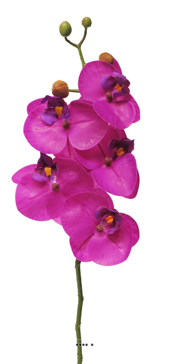 Tige orchidée phalaenopsis faux 5fleurons, ARTIFICIELLES