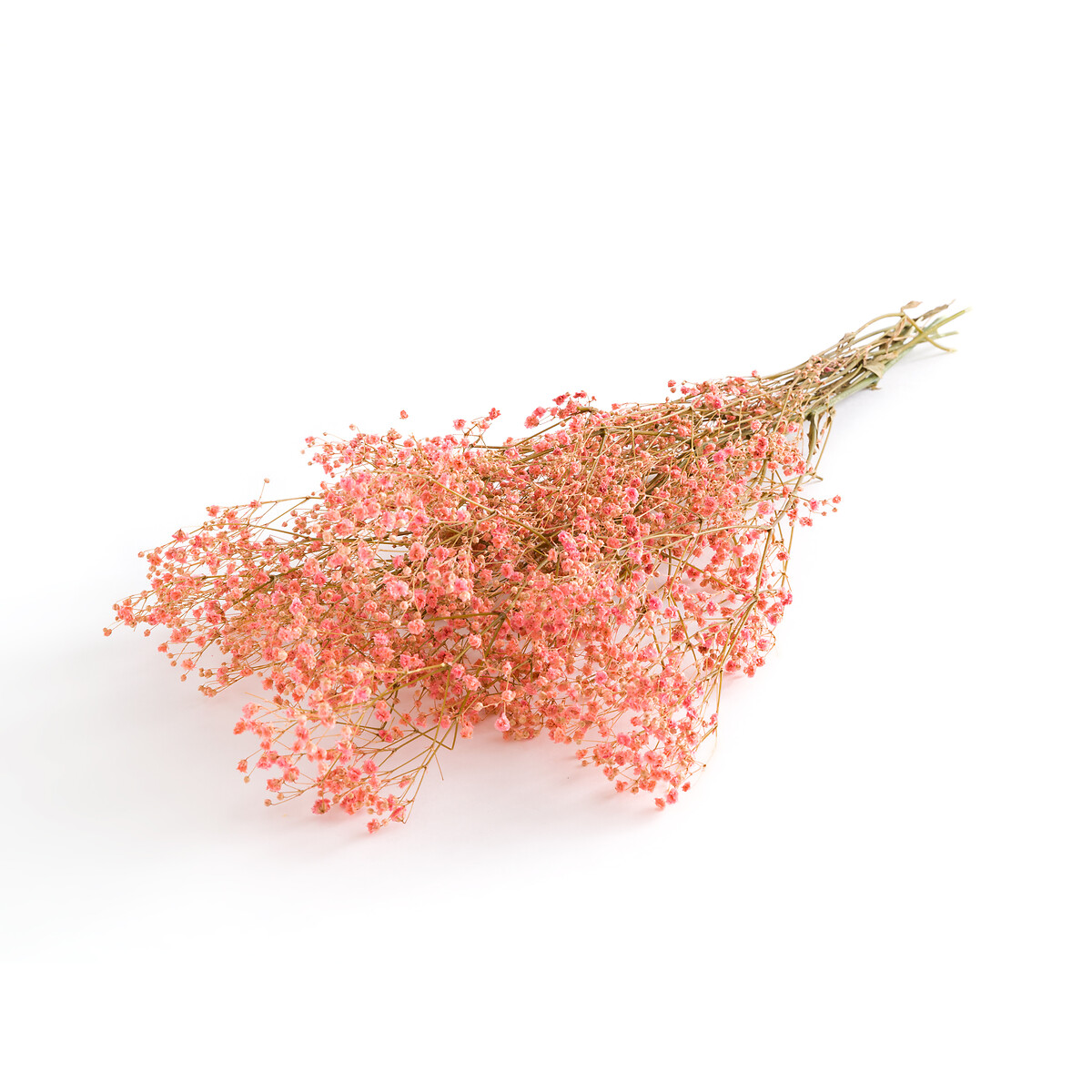 Букет LA REDOUTE INTERIEURS Из сушеных цветов Kenia единый размер розовый