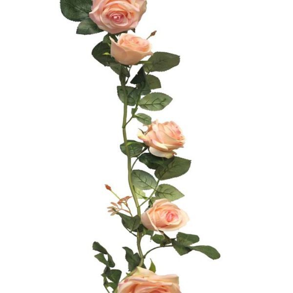 Guirlande de roses factices L145cm composée de 7belles roses Rose pâle - couleur: Rose pâle