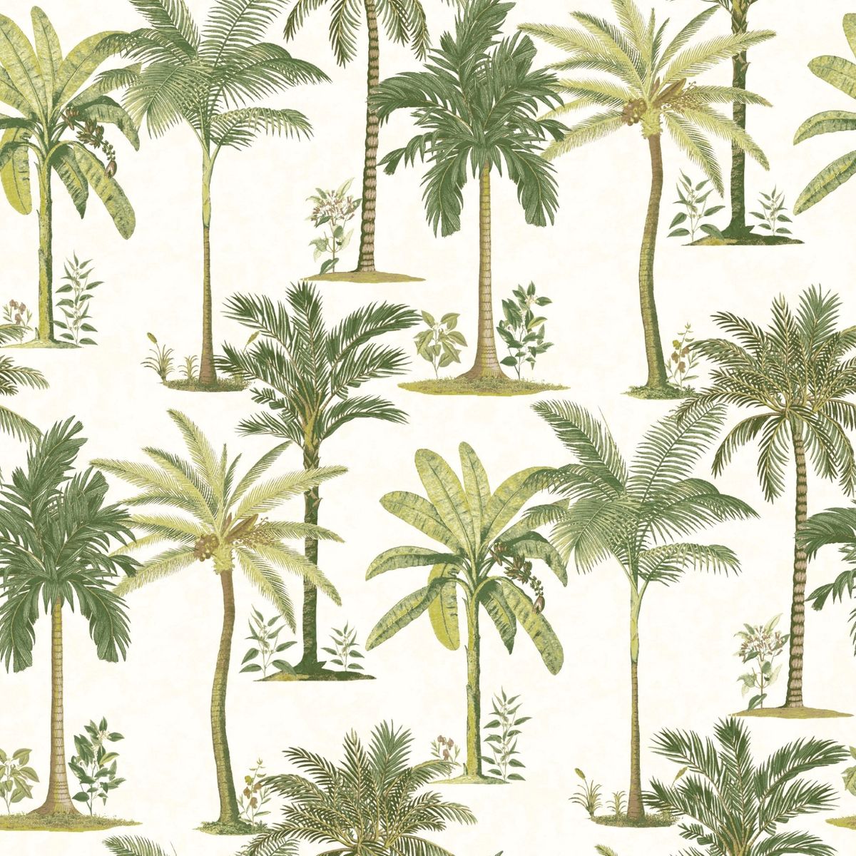 Superfresco Easy Papier Peint Support Intissé Palm Beach Vinyle 1005 x 52 cm Vert & Blanc