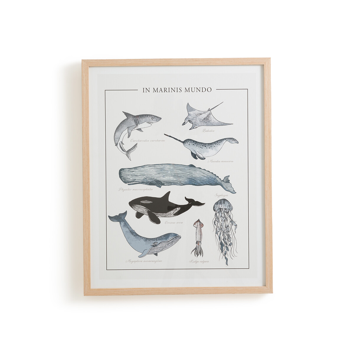 Постер В рамке морские животные Baleia единый размер бежевый