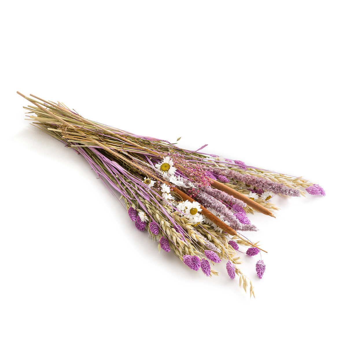 Букет Из сушеных цветов Kenia единый размер фиолетовый