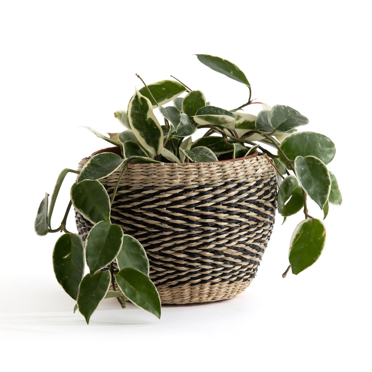 Image of Nomado Flowerpot-Style Woven Grass Basket
