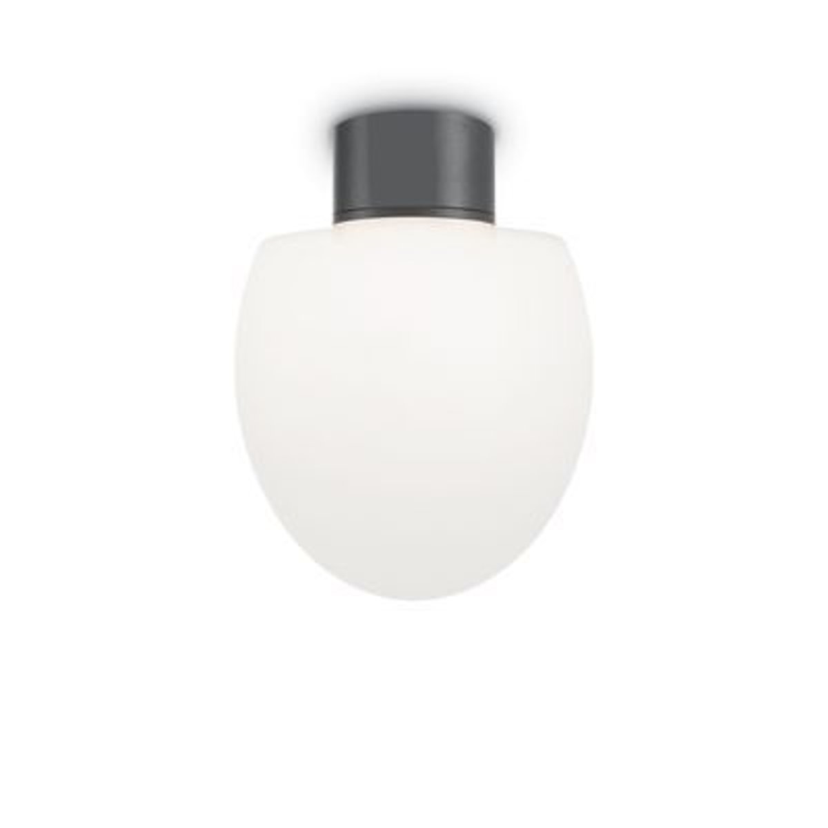 Plafonnier extérieur CONCERTO Anthracite 1x60W - IDEAL LUX - 149943