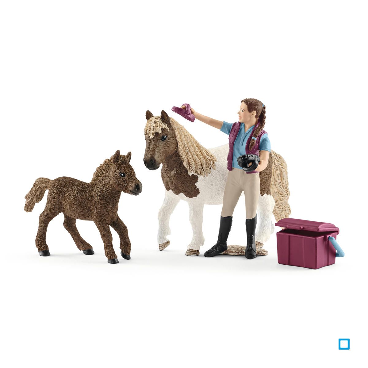 Soigneuse de chevaux avec poneys Shetland - SCL42362