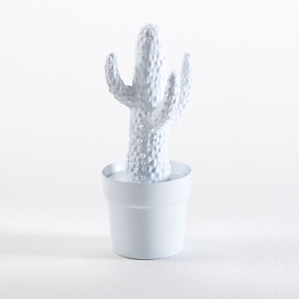 Coupon cactus promo code