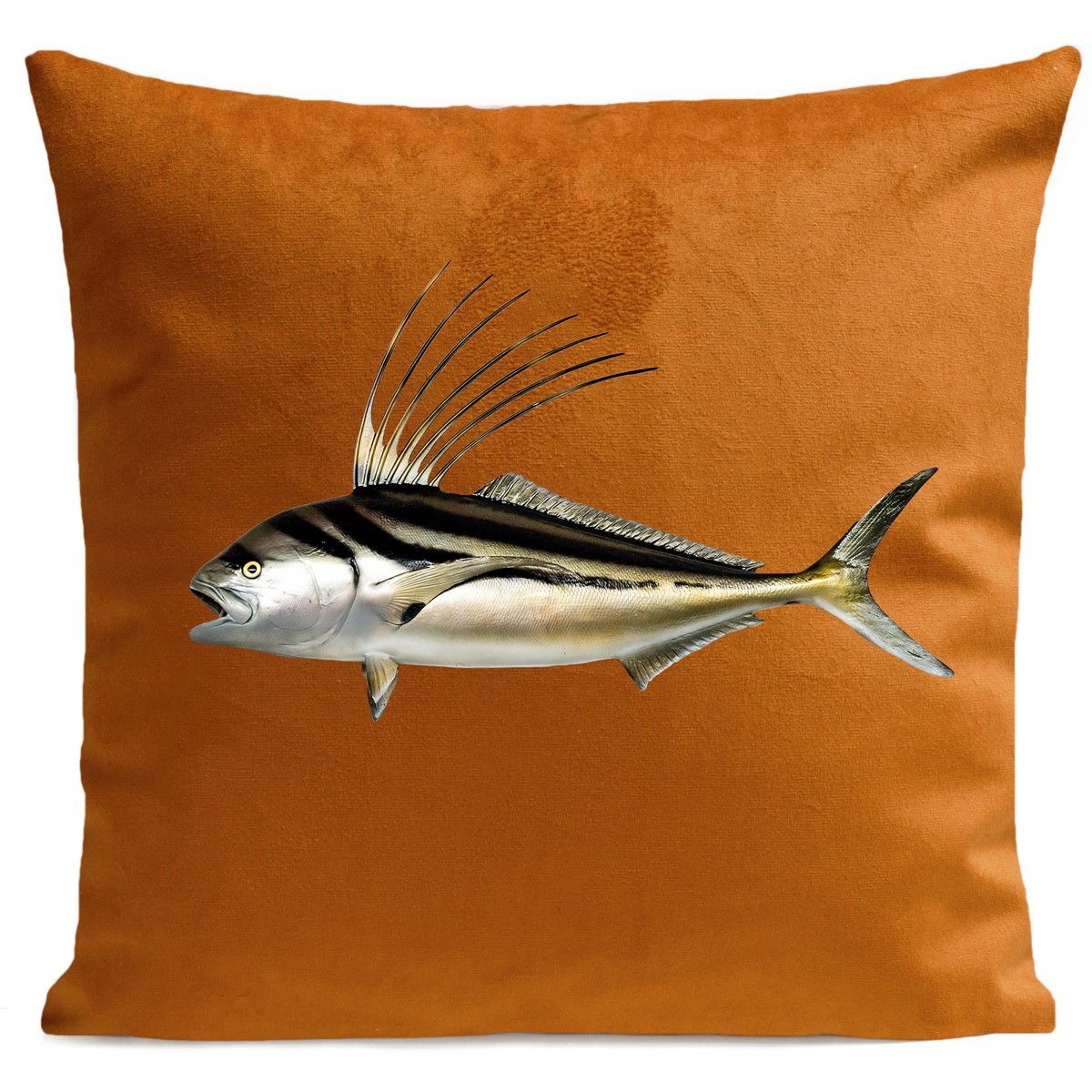 Coussin ROOSTER FISH Velours