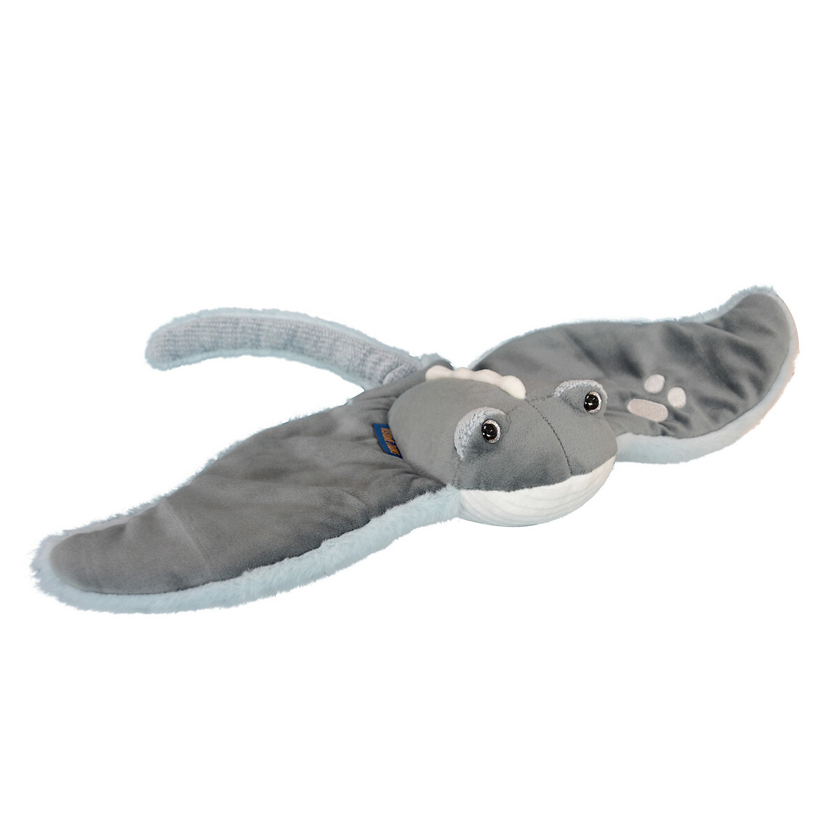 Histoire Dours Peluche raia Manta, trésors marins