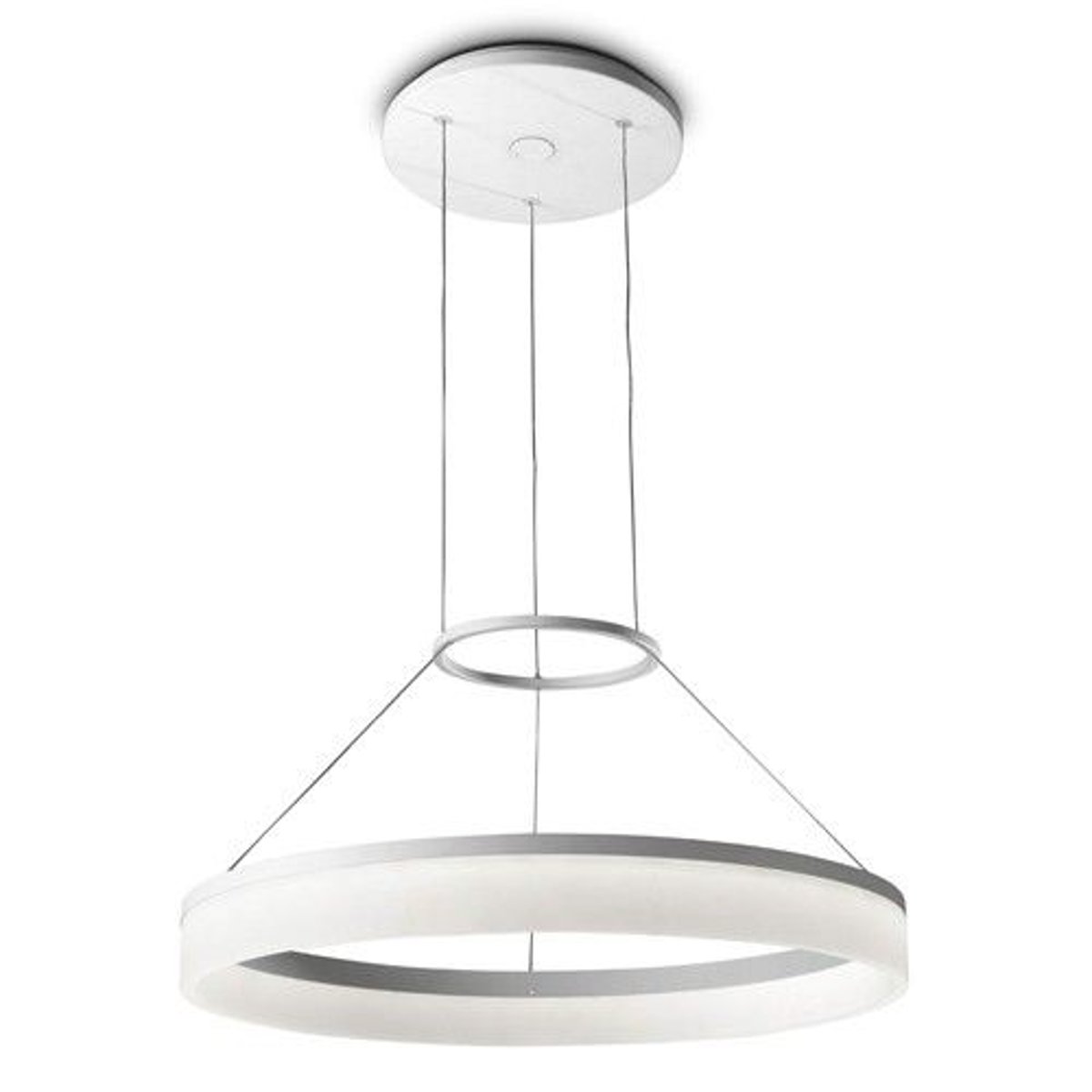Grande Suspension design Circ