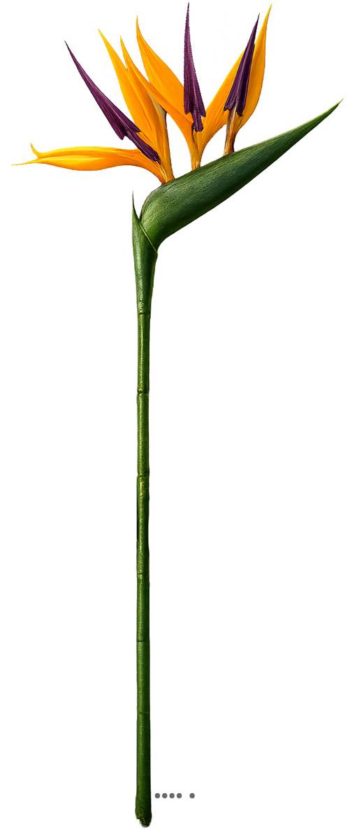 Strelitzia Arabica artificiel H 62 cm oiseau, ARTIFICIELLES