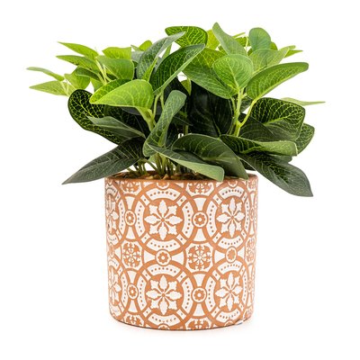 Artificial Green Plants in Cement Pot SO'HOME