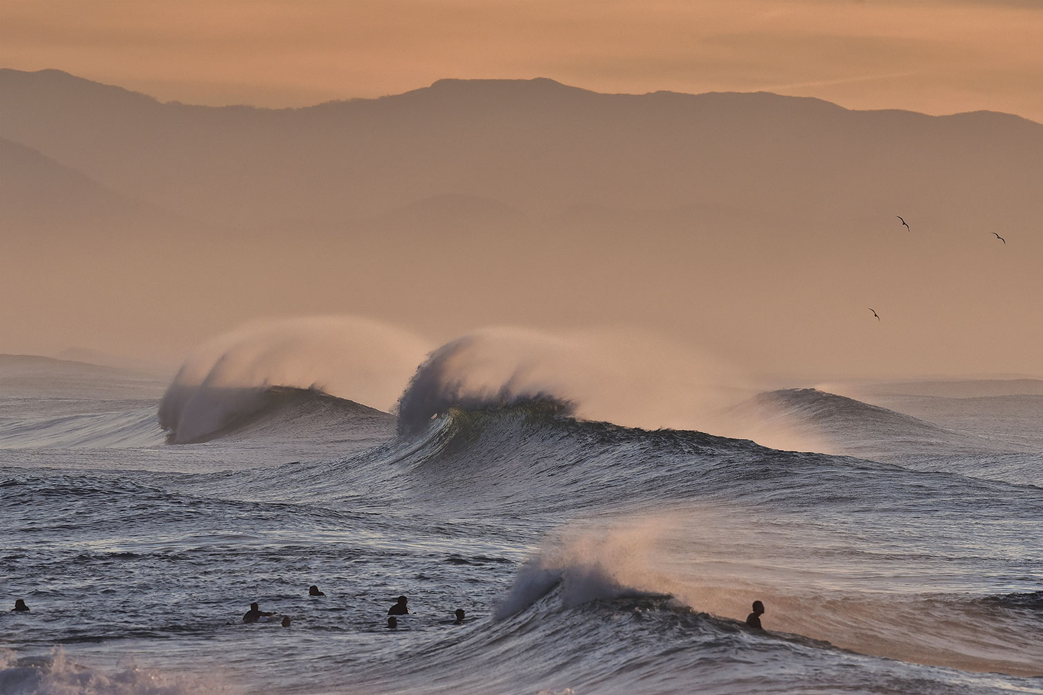 Tableau plage hossegor mouettes au pic, HEXOA