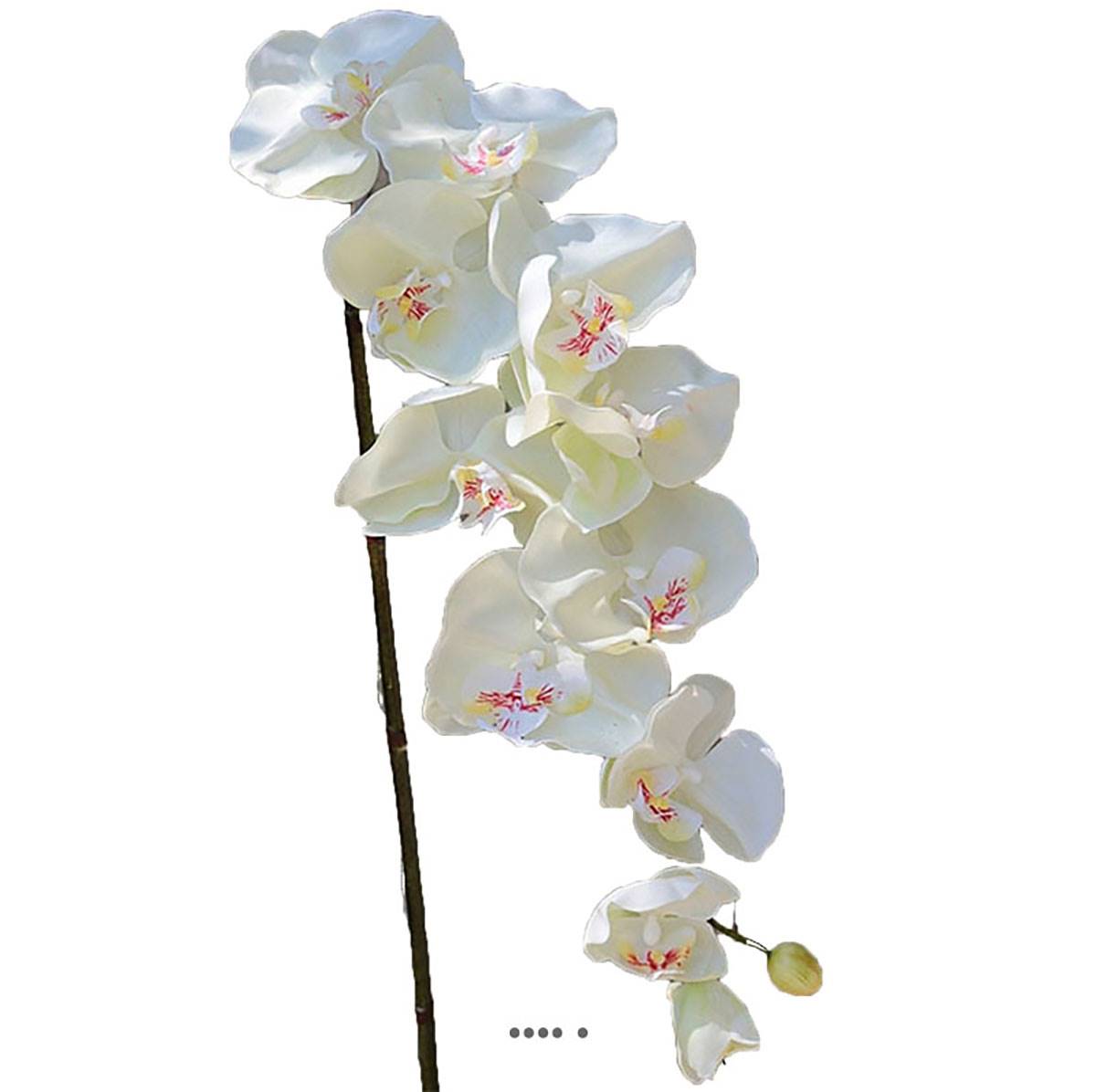 Superbe tige d'orchidée artifici, ARTIFICIELLES