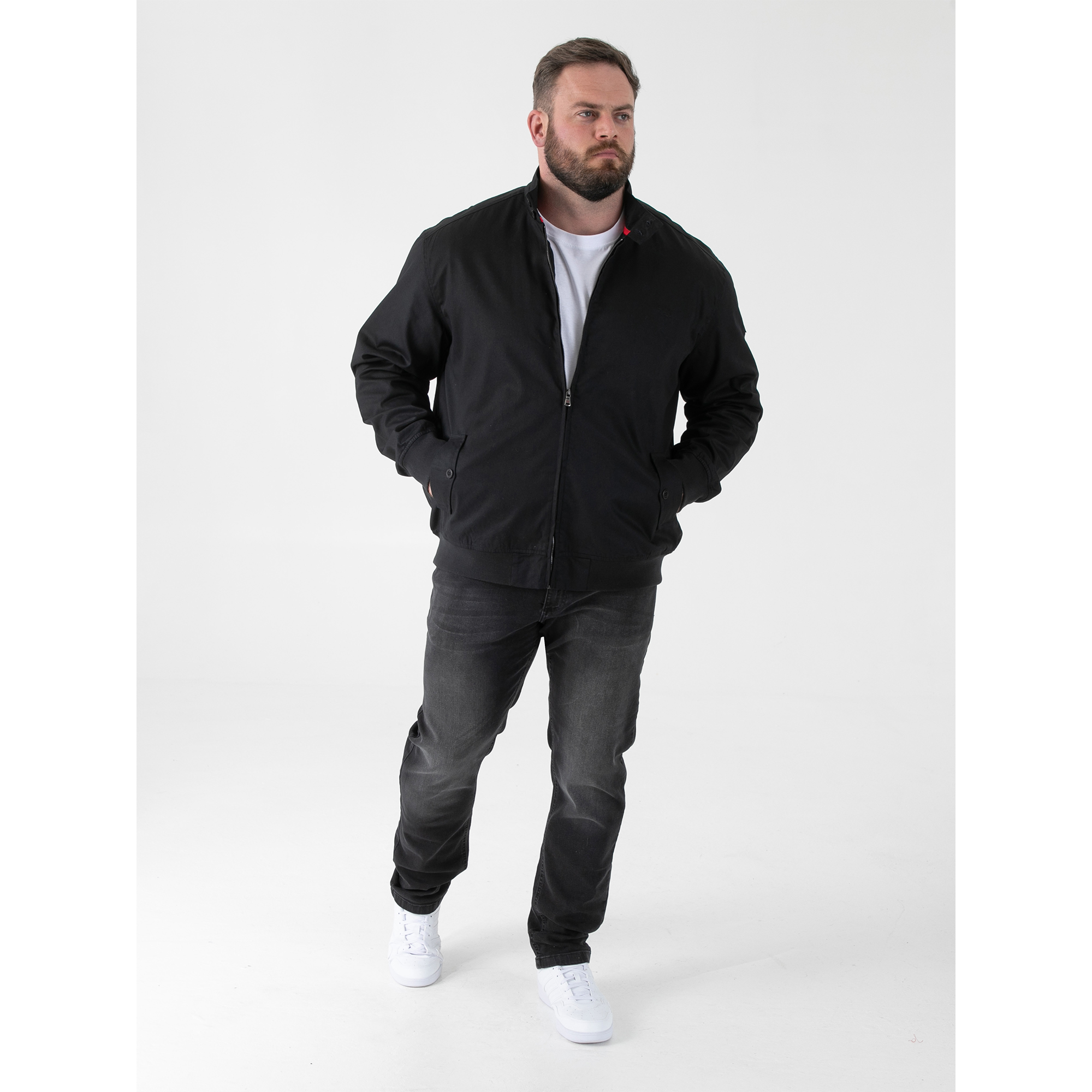 Blouson Harrington grande taille KENT, DUKE