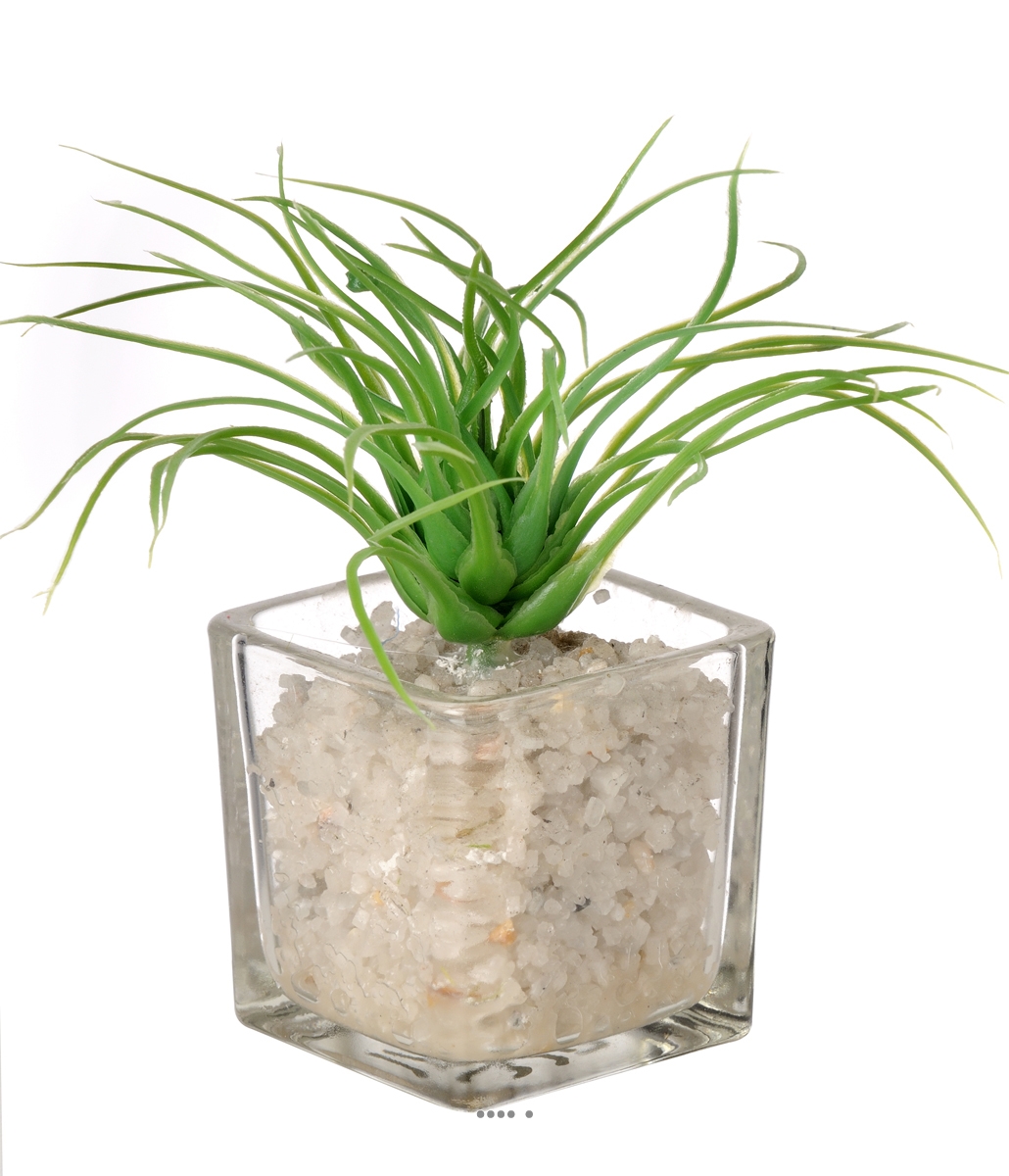 Herbe artificielle succulente cactée en pot, ARTIFICIELLES