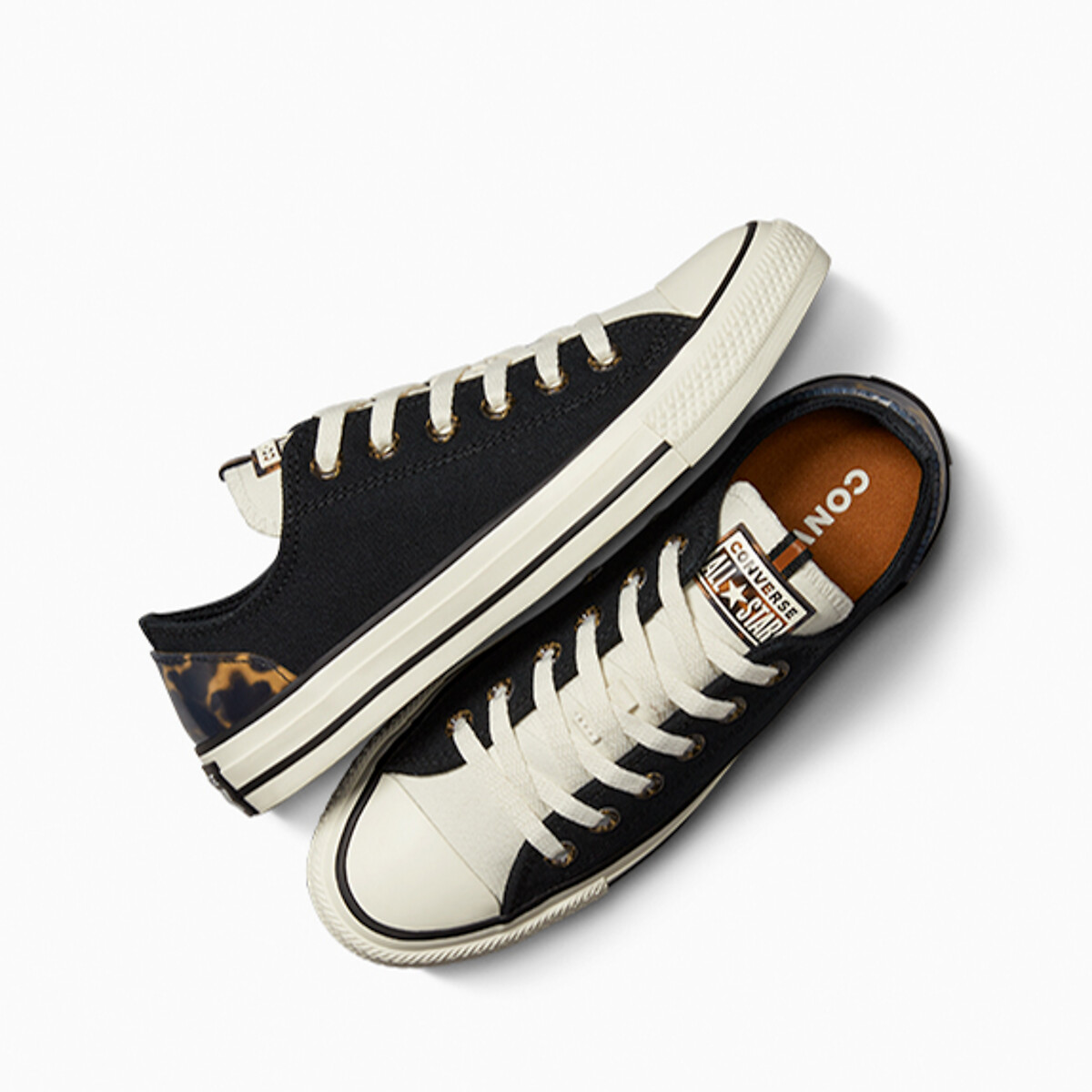 Converse tortoise outlet